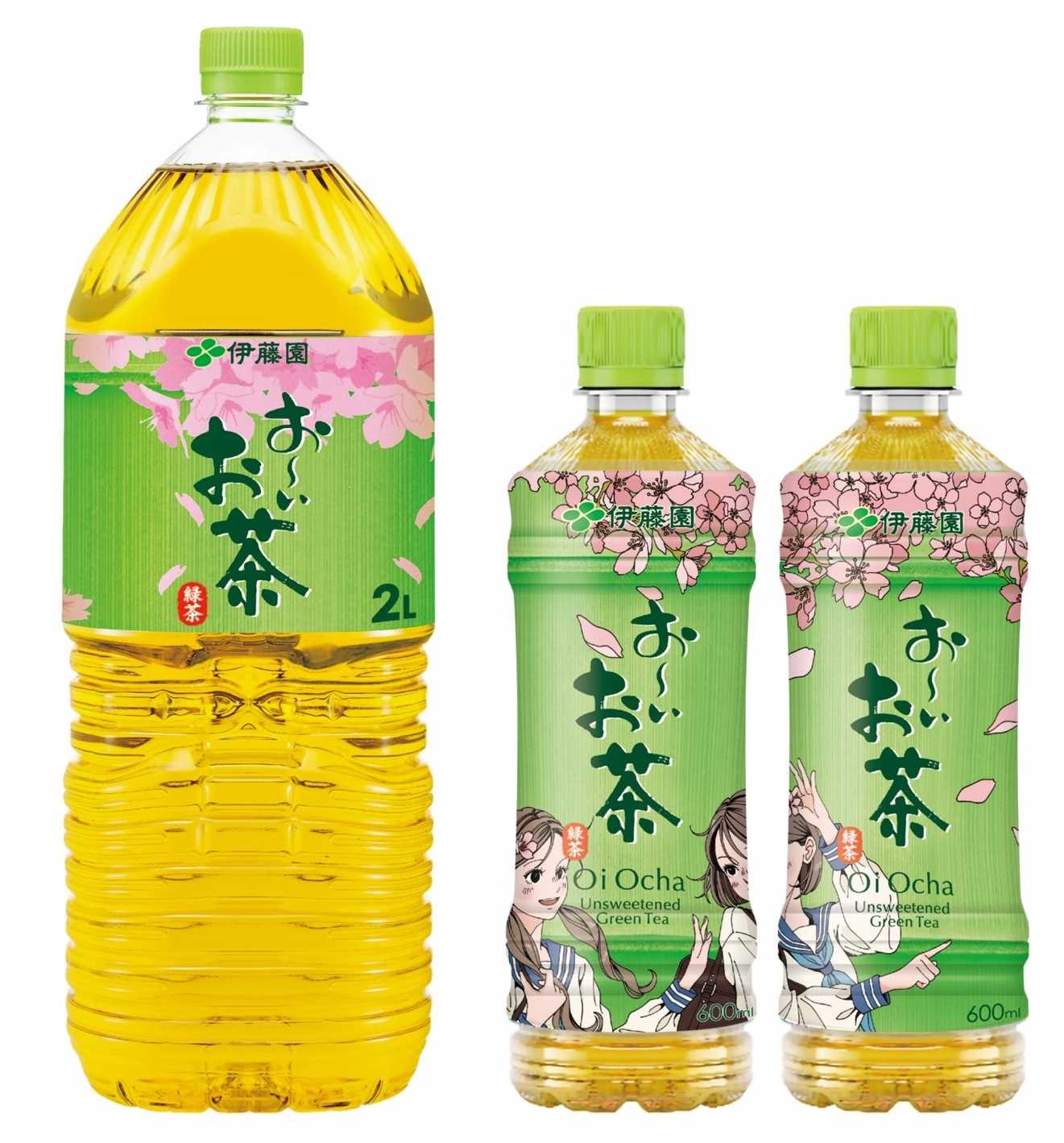 260108 OiOcha_ryokucha_SakuraPackage_600mlPET_2LPET