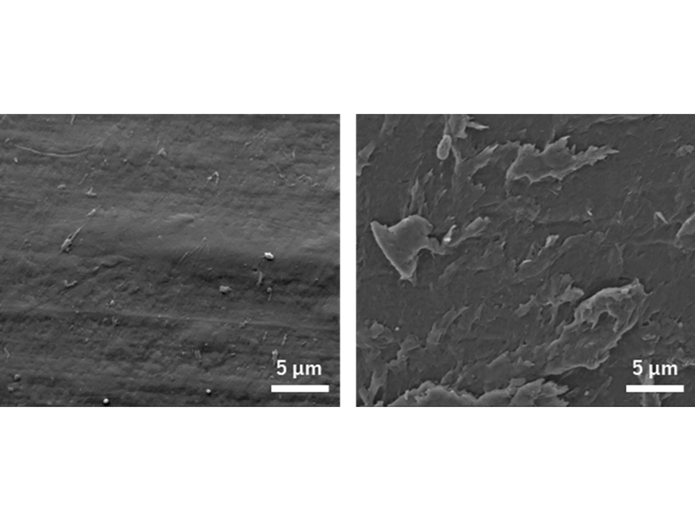 株式会社伊藤園