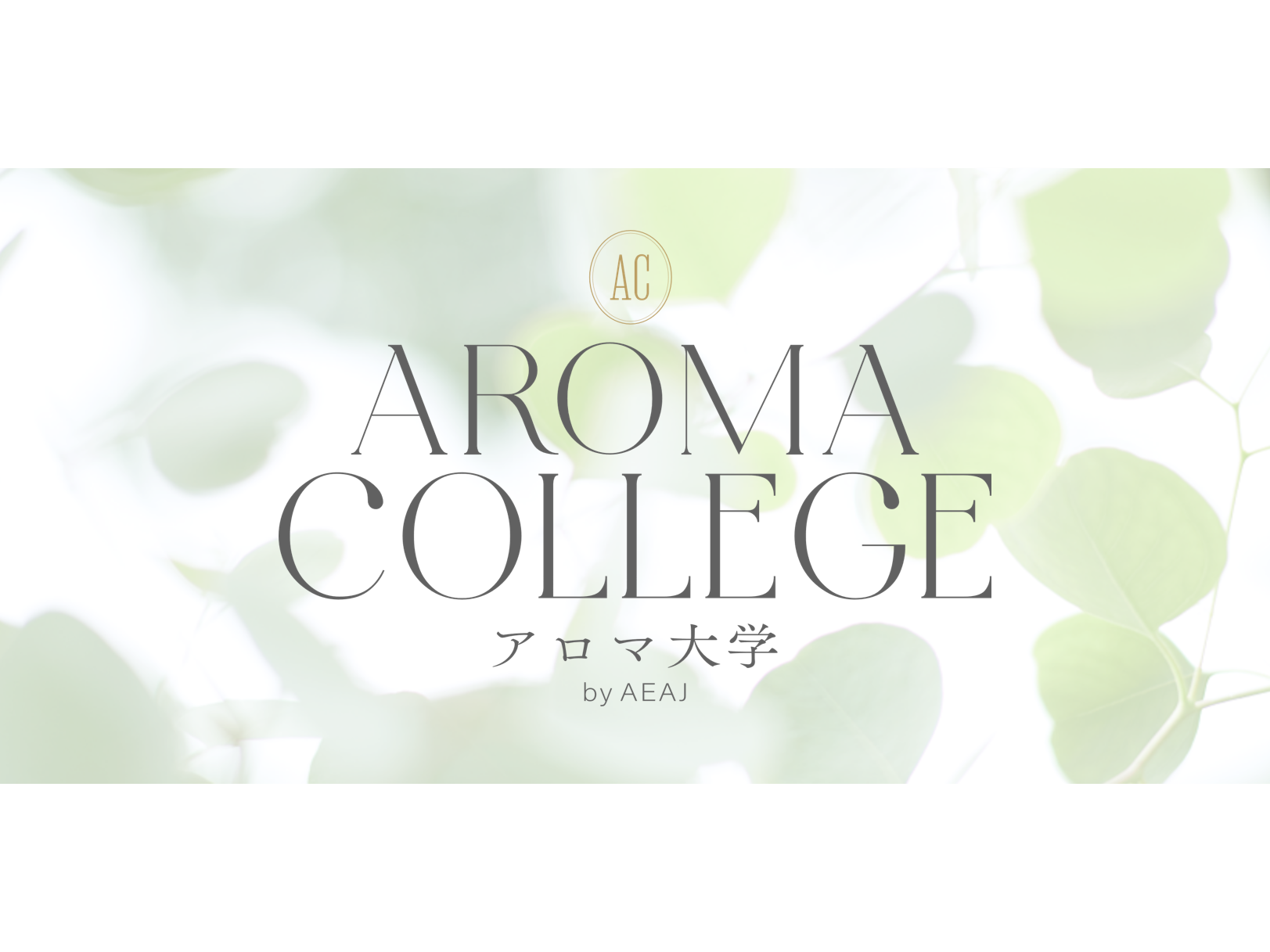 公益社団法人 日本アロマ環境協会（AEAJ）