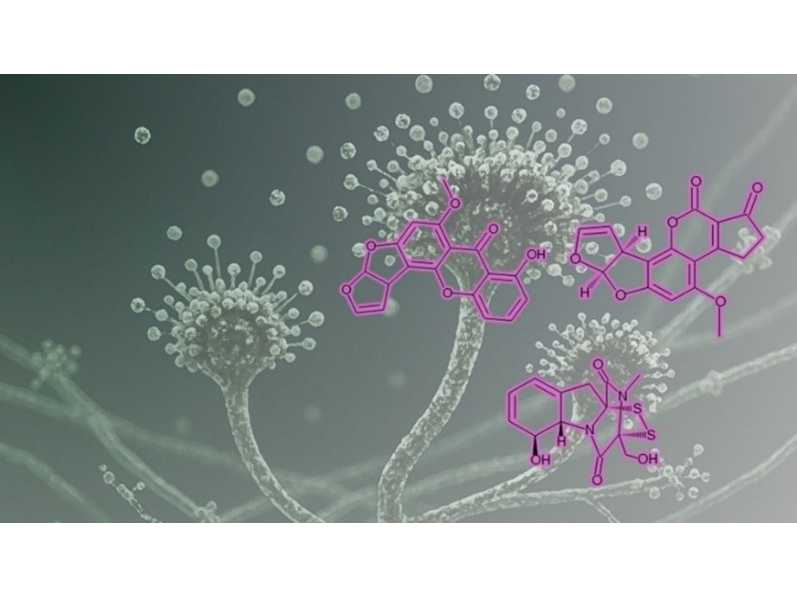 パナソニック株式会社　くらしアプライアンス社
