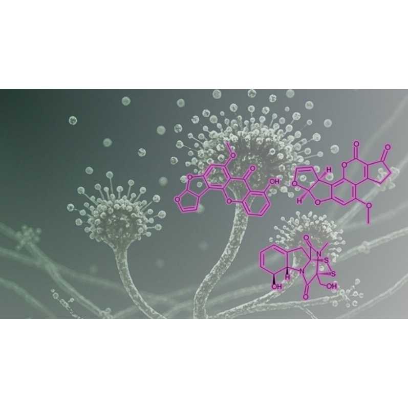 パナソニック株式会社　くらしアプライアンス社