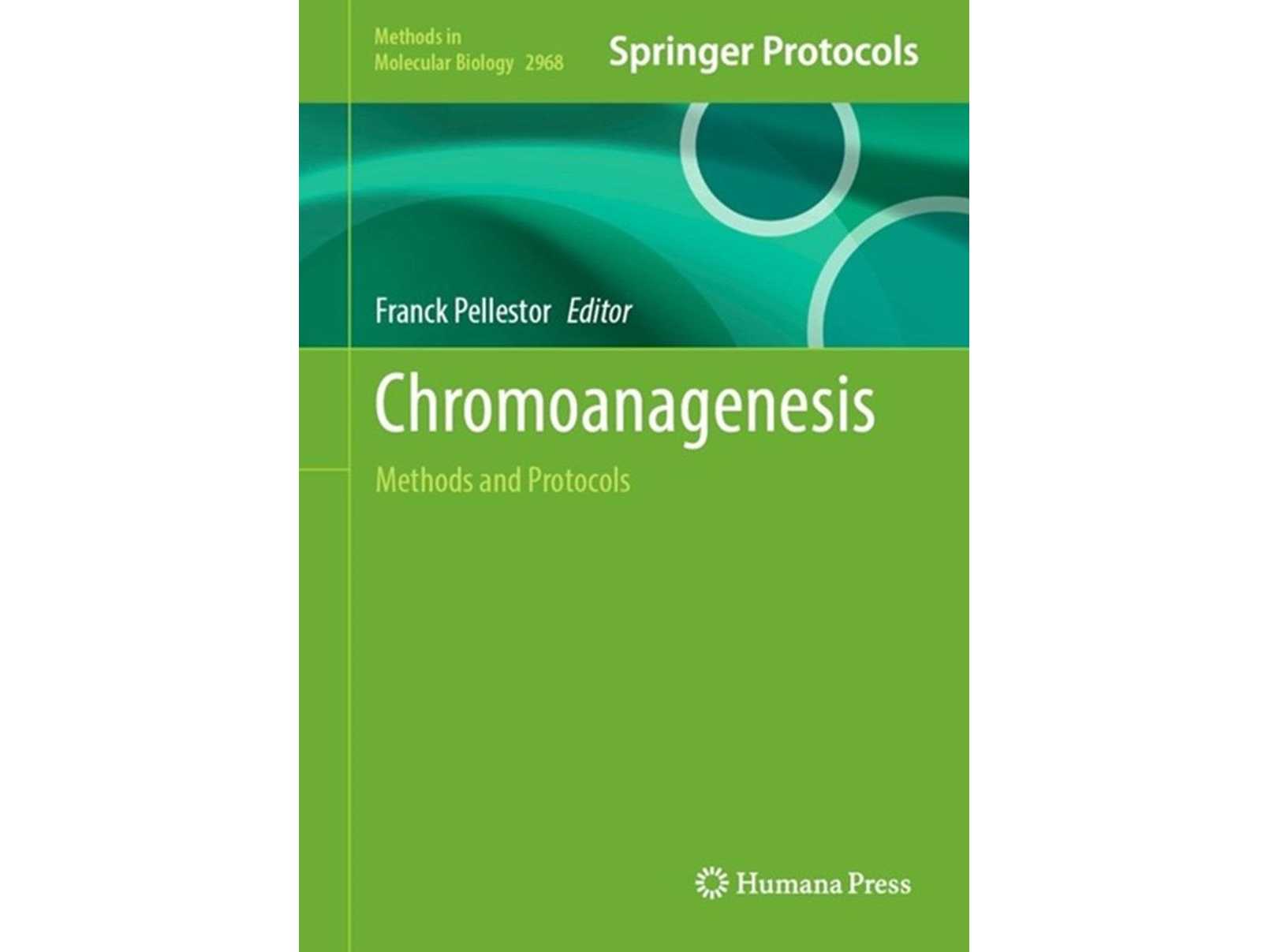 【中部大学】染色体修復研究の国際的手順書に中部大の手法が選ばれる─ がん研究、生殖医療、進化メカニズム解明に新たな道を開くことに期待 ─