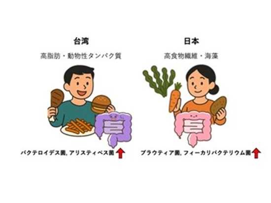 【中部大学】日本型食が、パーキンソン病の運動症状進行"抑制"の可能性を示唆─ 和食×腸内細菌で"進行にブレーキ"の兆し ─