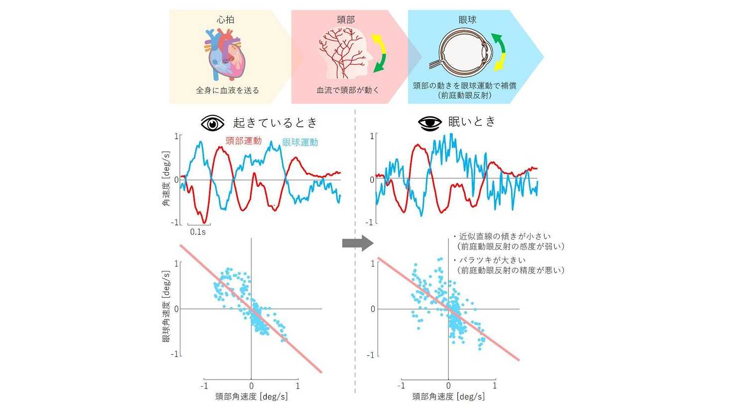 中部大学