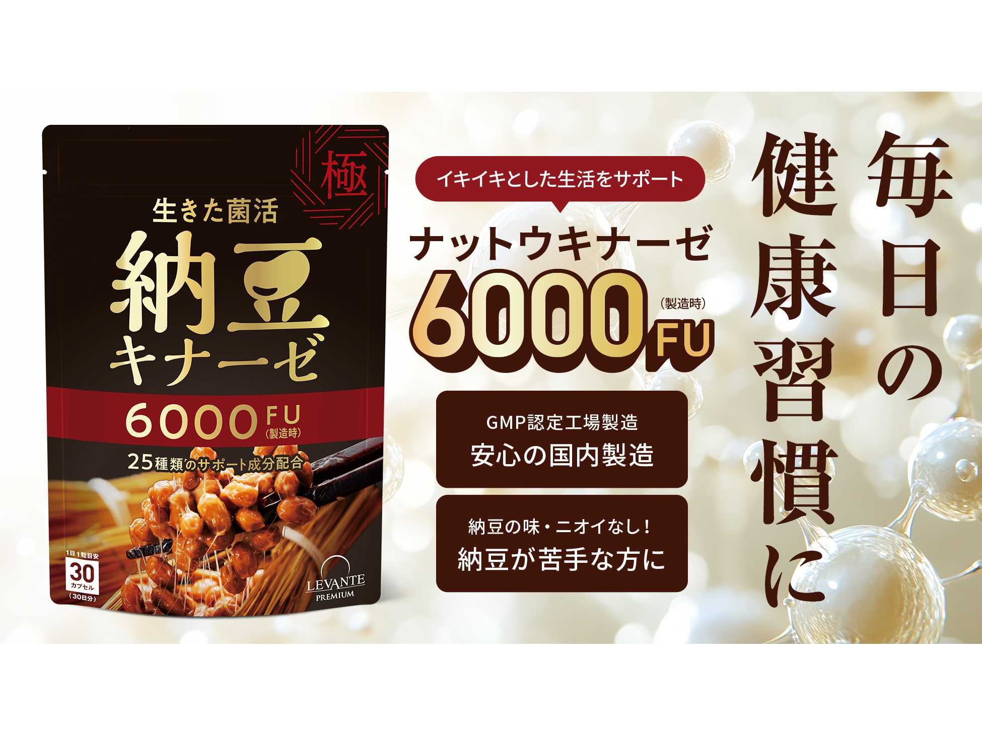 レバンテ株式会社