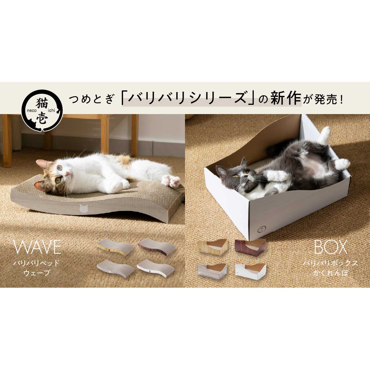 MOON-X Japan株式会社