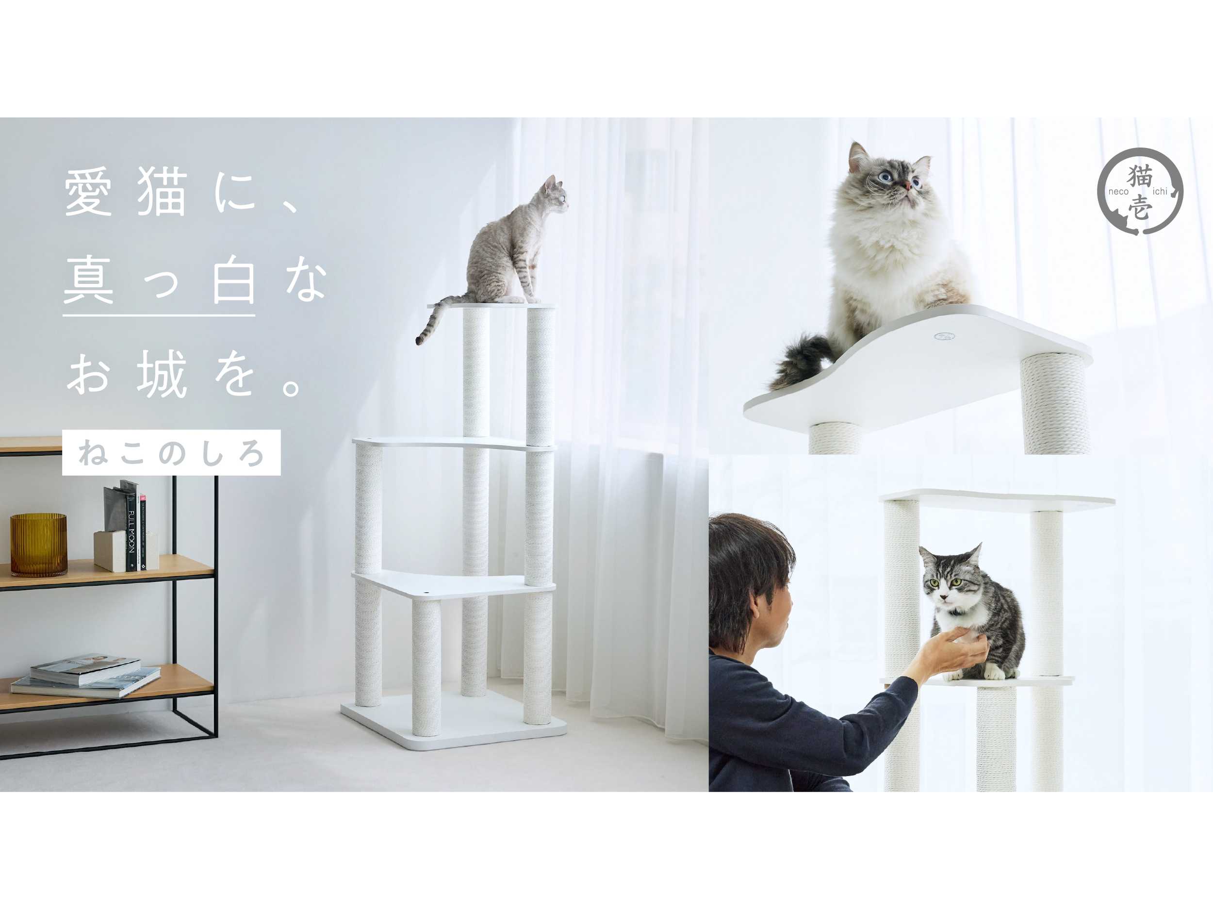 MOON-X Japan株式会社