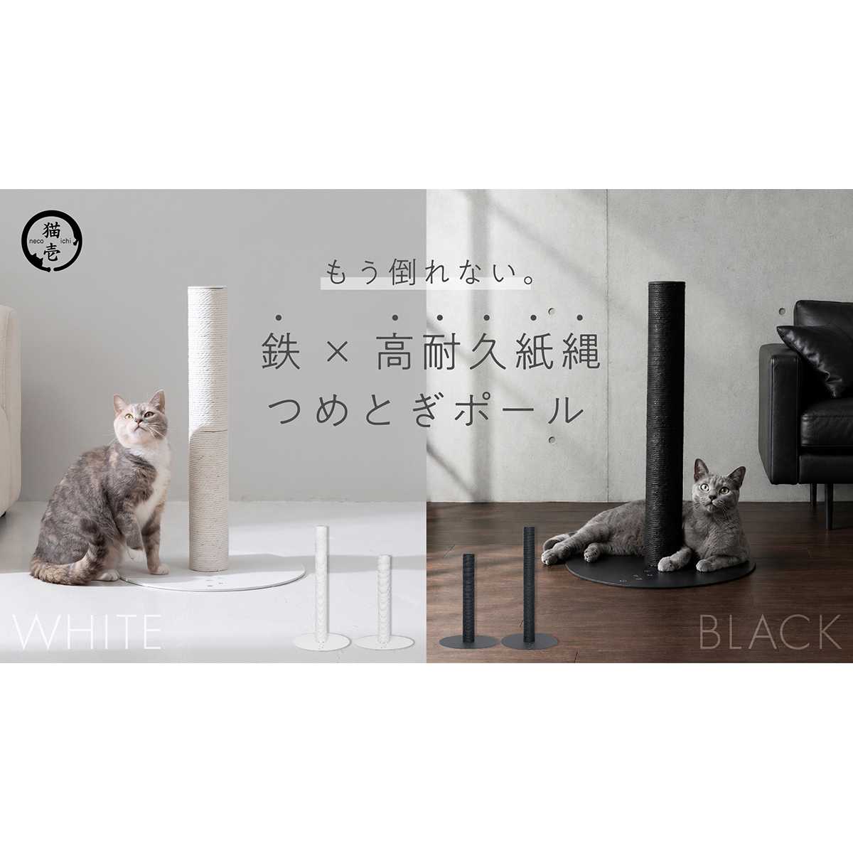 MOON-X Japan株式会社