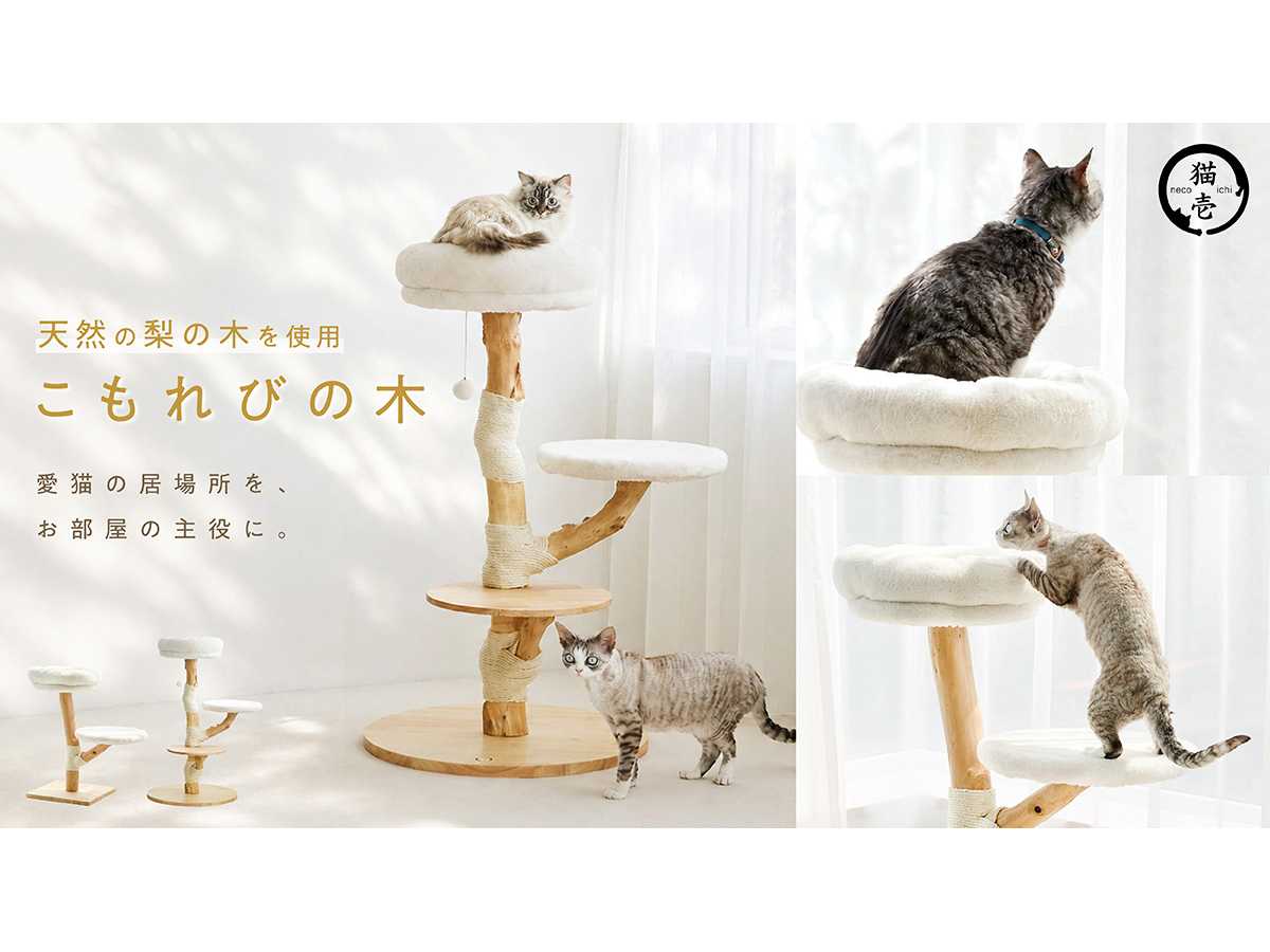 MOON-X Japan株式会社