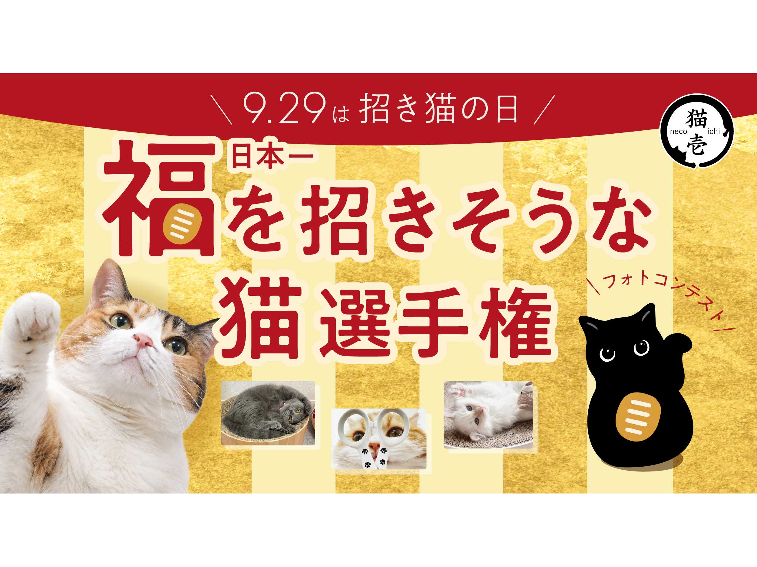 毎年楽しめる春限定 猫壱の脚付食器 「ハッピーダイニング」シリーズ