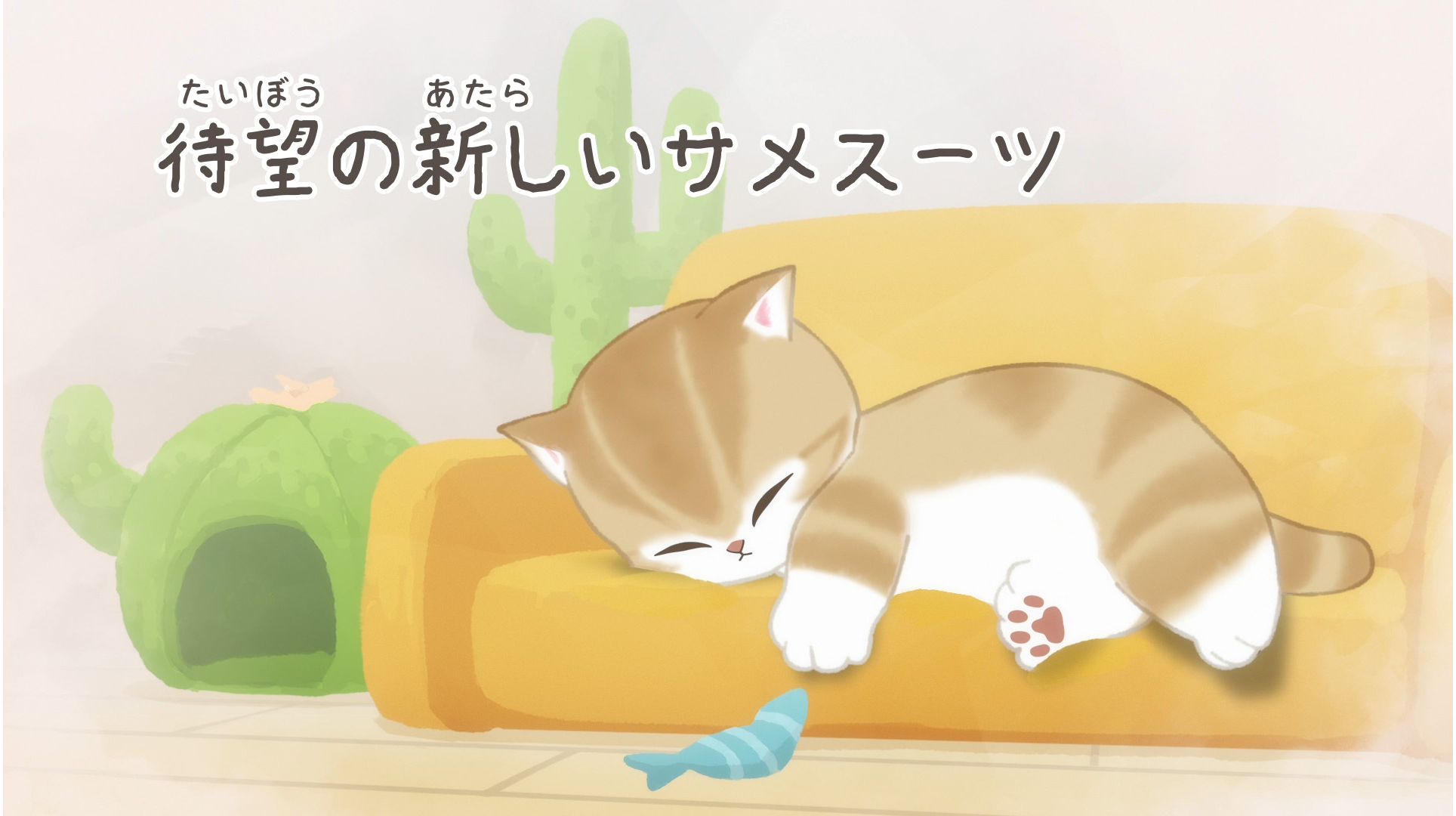 待望の新しいサメスーツ