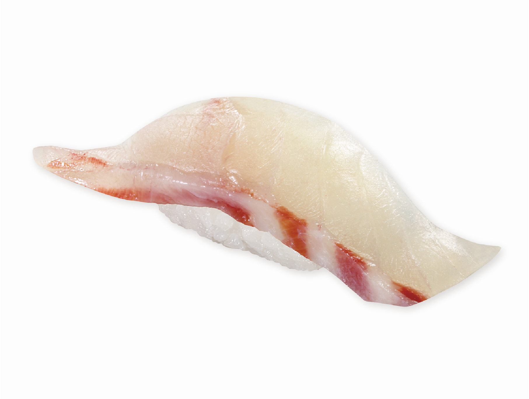 【愛媛県産】真はた（一貫）