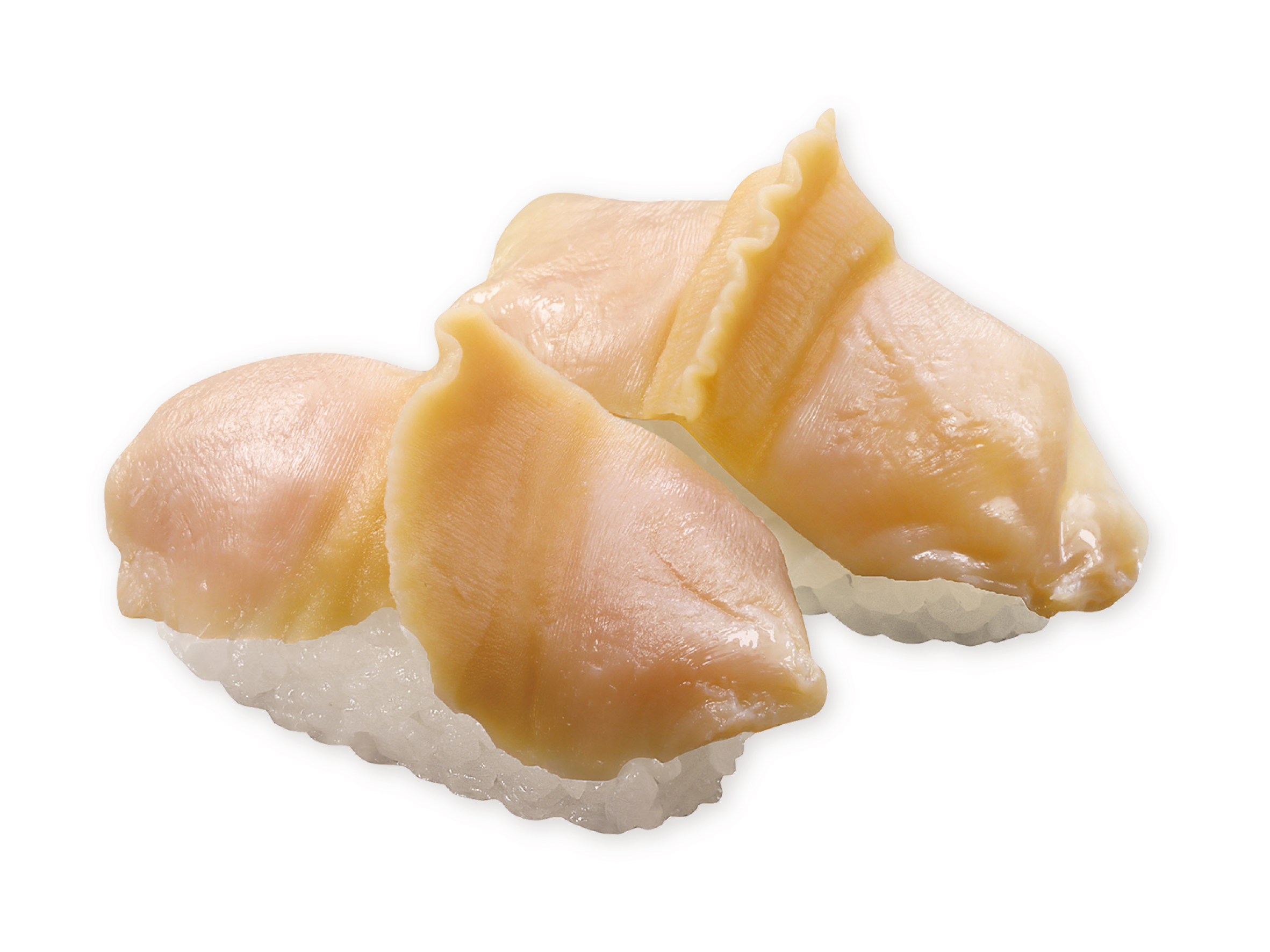 アイスランド貝@（長寿貝）