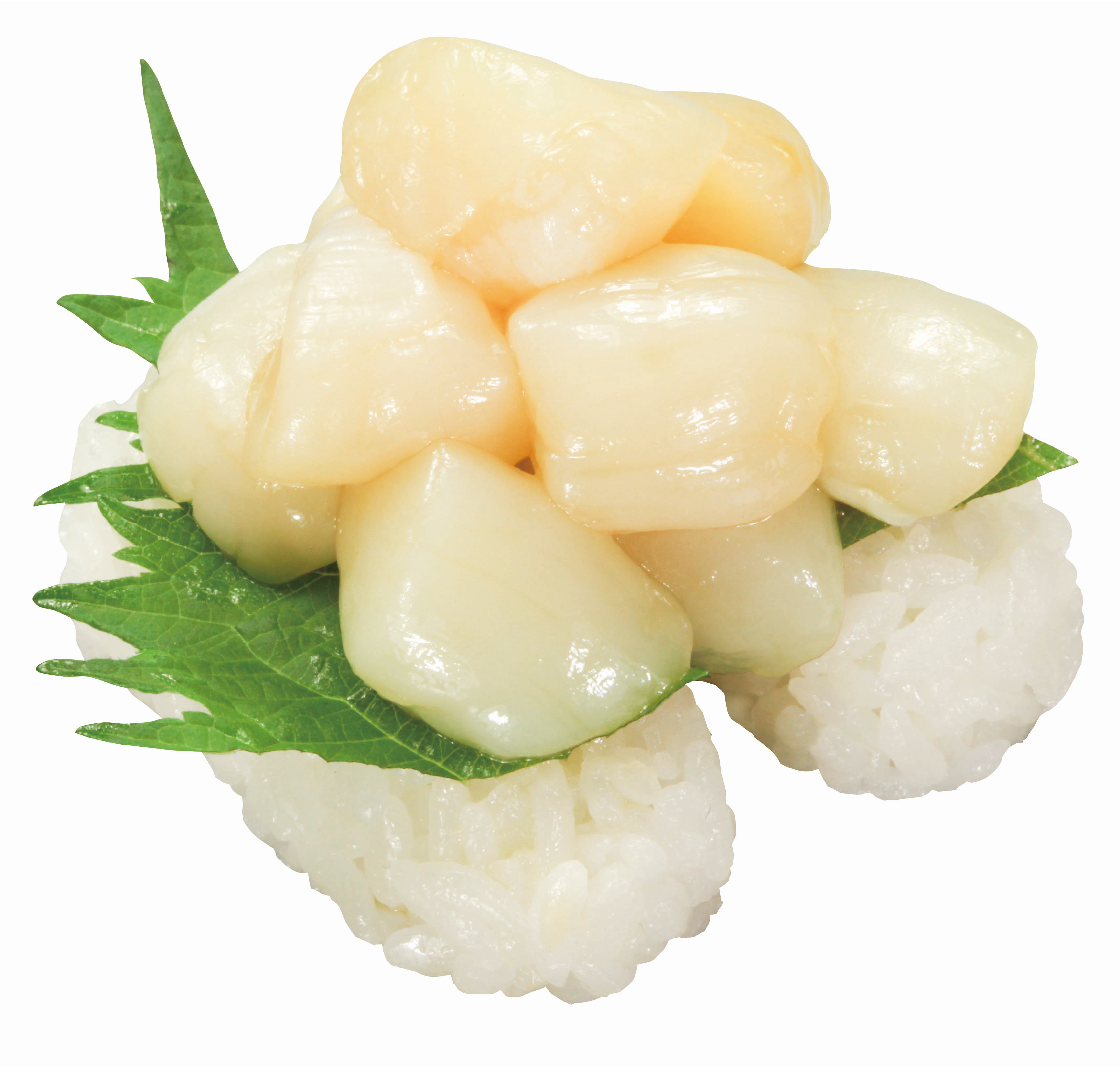 大盛り貝柱にぎり