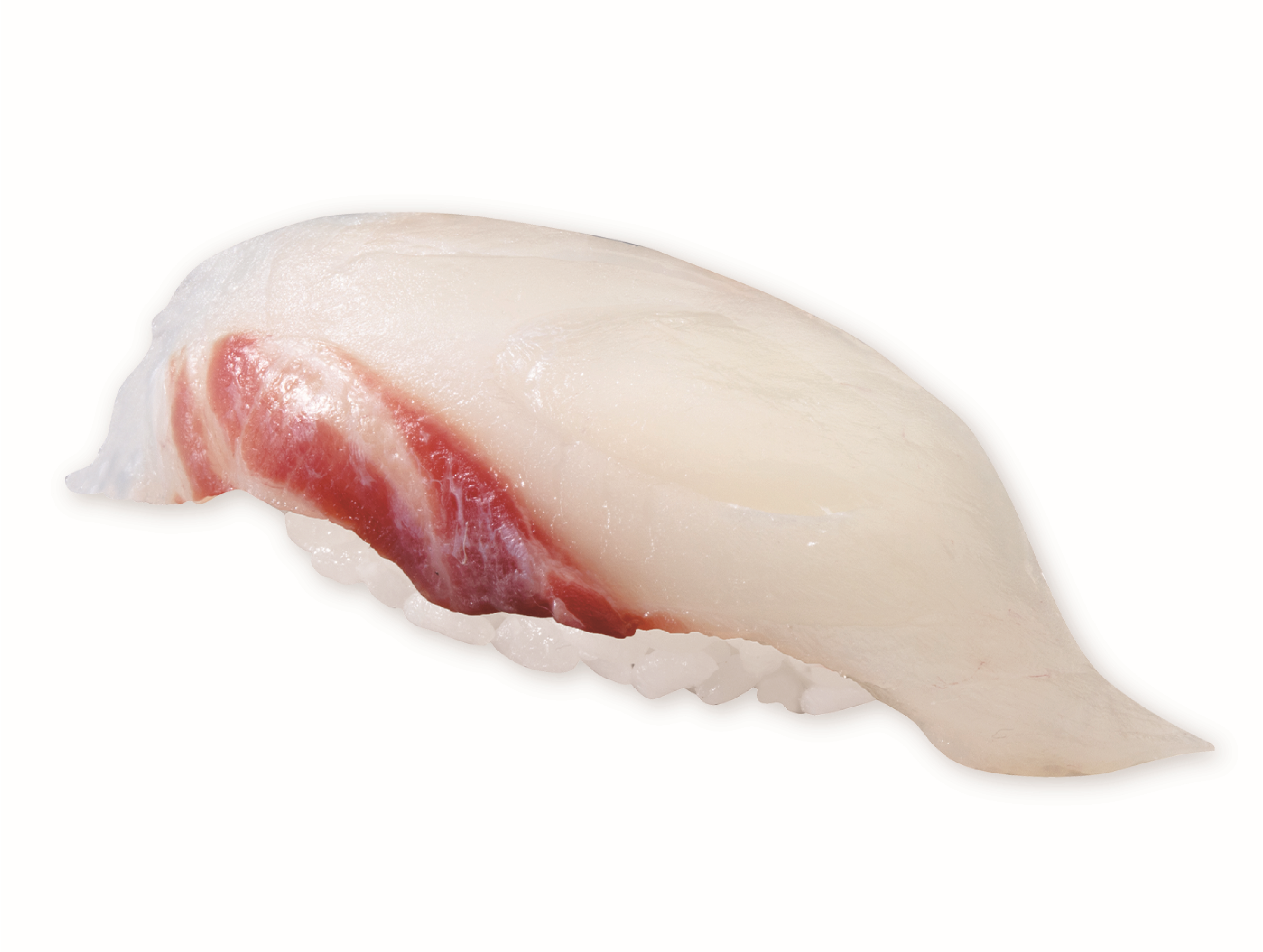 【新幹鮮魚便】鹿児島　朝獲れ　はまふえだい(一貫)