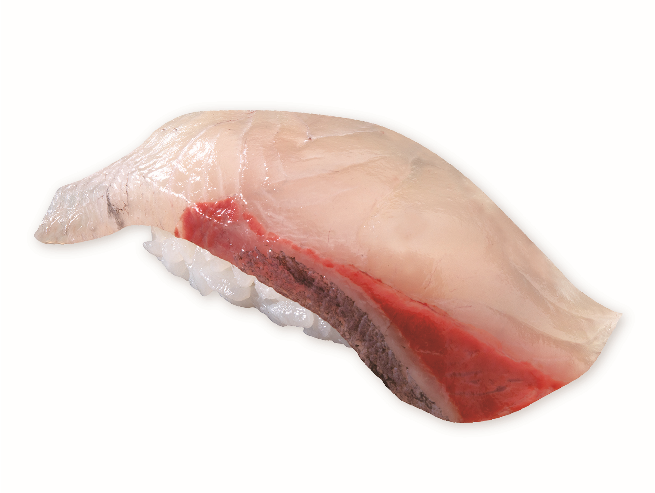 【新幹鮮魚便】鹿児島　薩摩かんぱち(一貫)