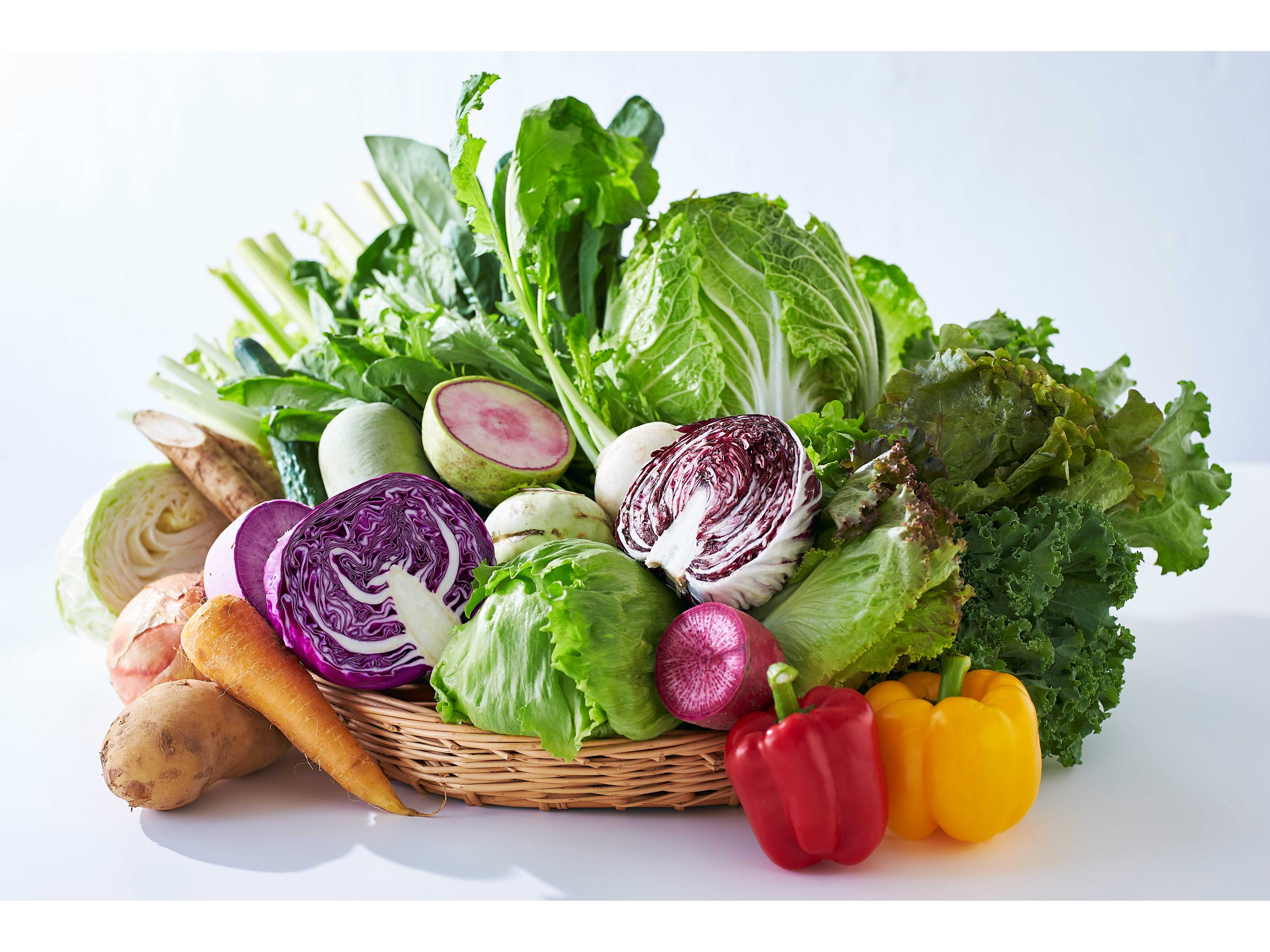 株式会社ロック・フィールド