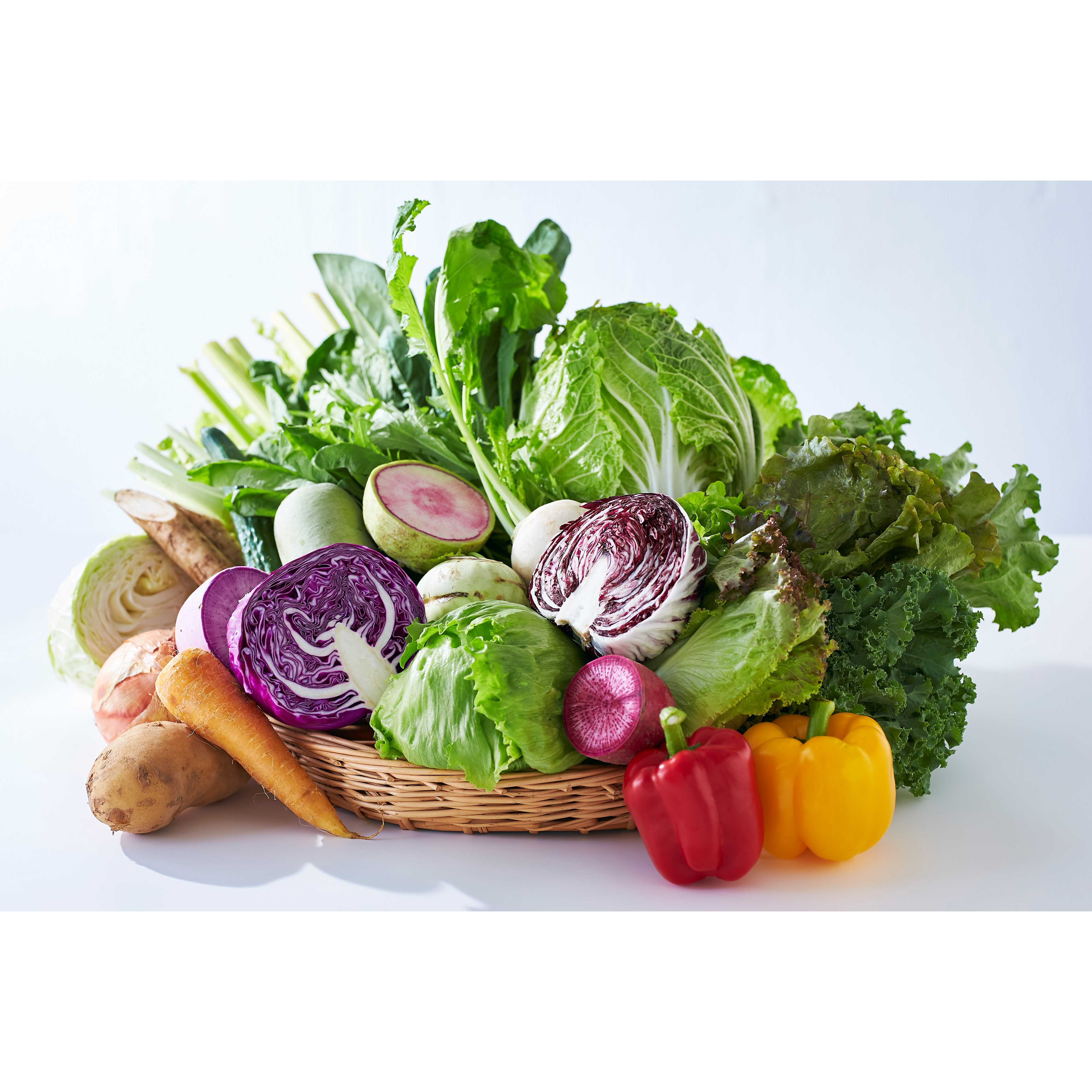 株式会社ロック・フィールド