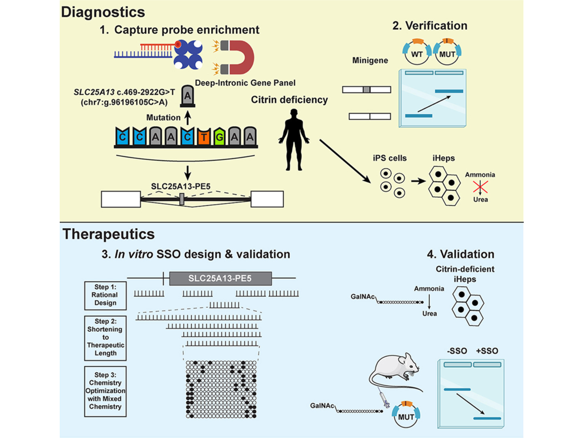 調査 | 調査関連のニュースリリース（～ビデオリサー... 他） | デジタルPRとプレスリリース・ニュースリリース配信 Digital PR  Platform