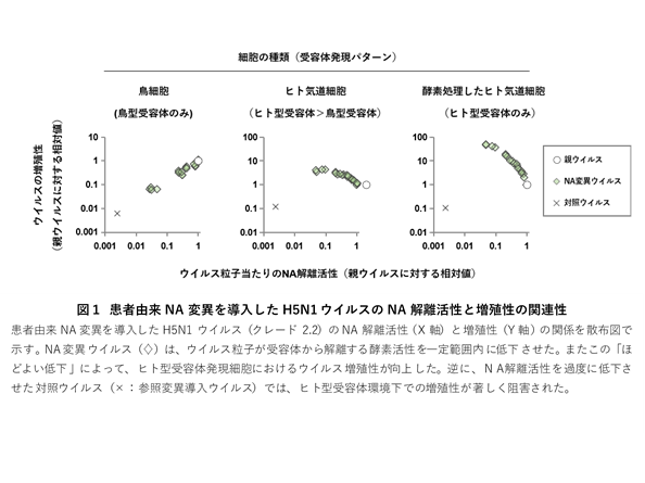 東京慈恵会医科大学
