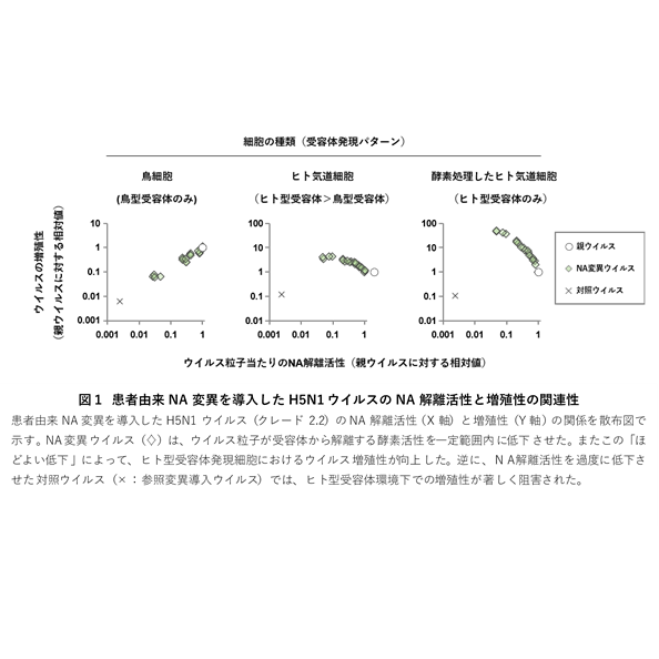 東京慈恵会医科大学
