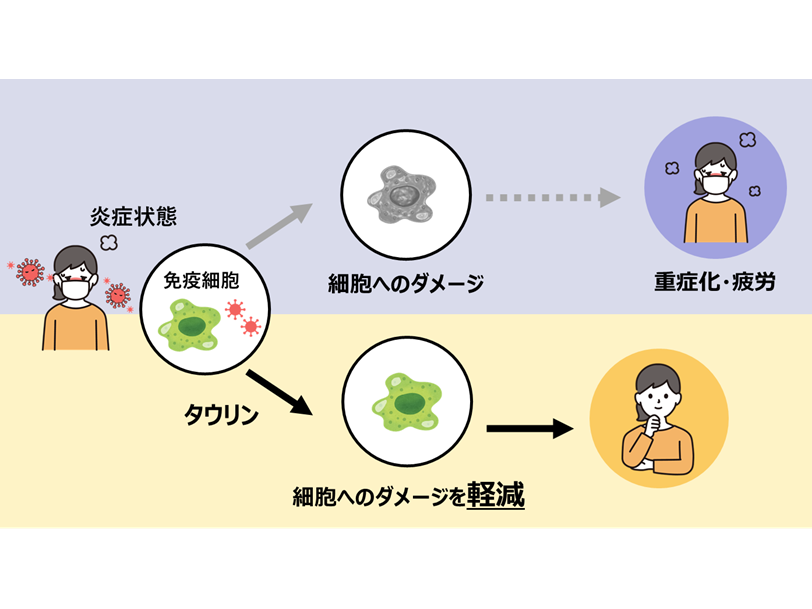 大正製薬株式会社