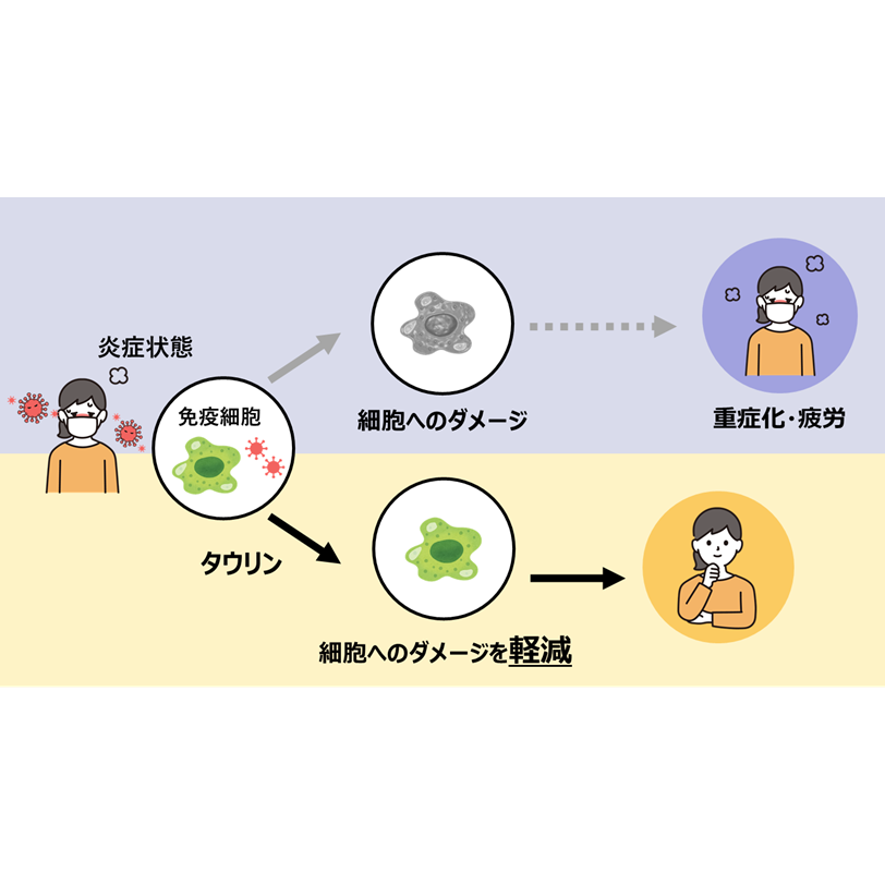 大正製薬株式会社