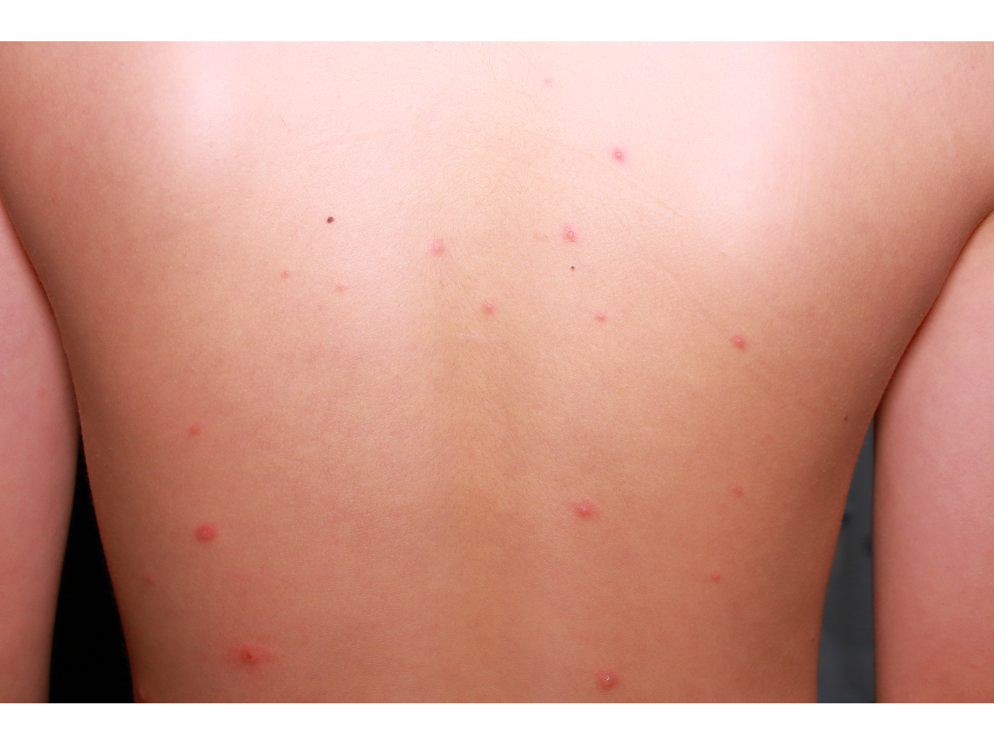 大正製薬株式会社