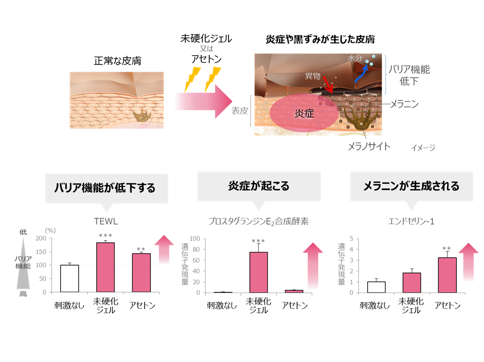 大正製薬株式会社