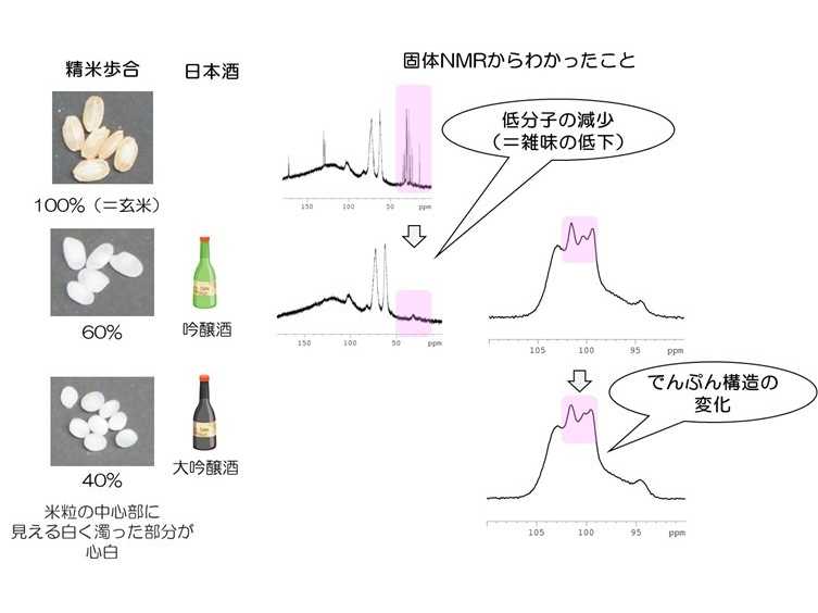 学校法人東洋大学
