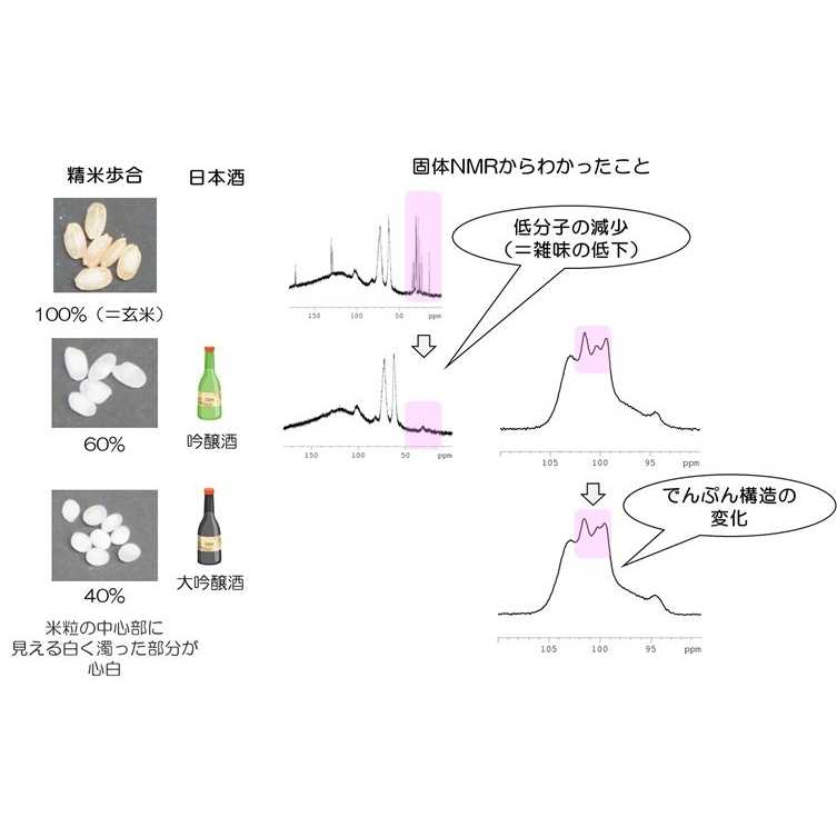 学校法人東洋大学