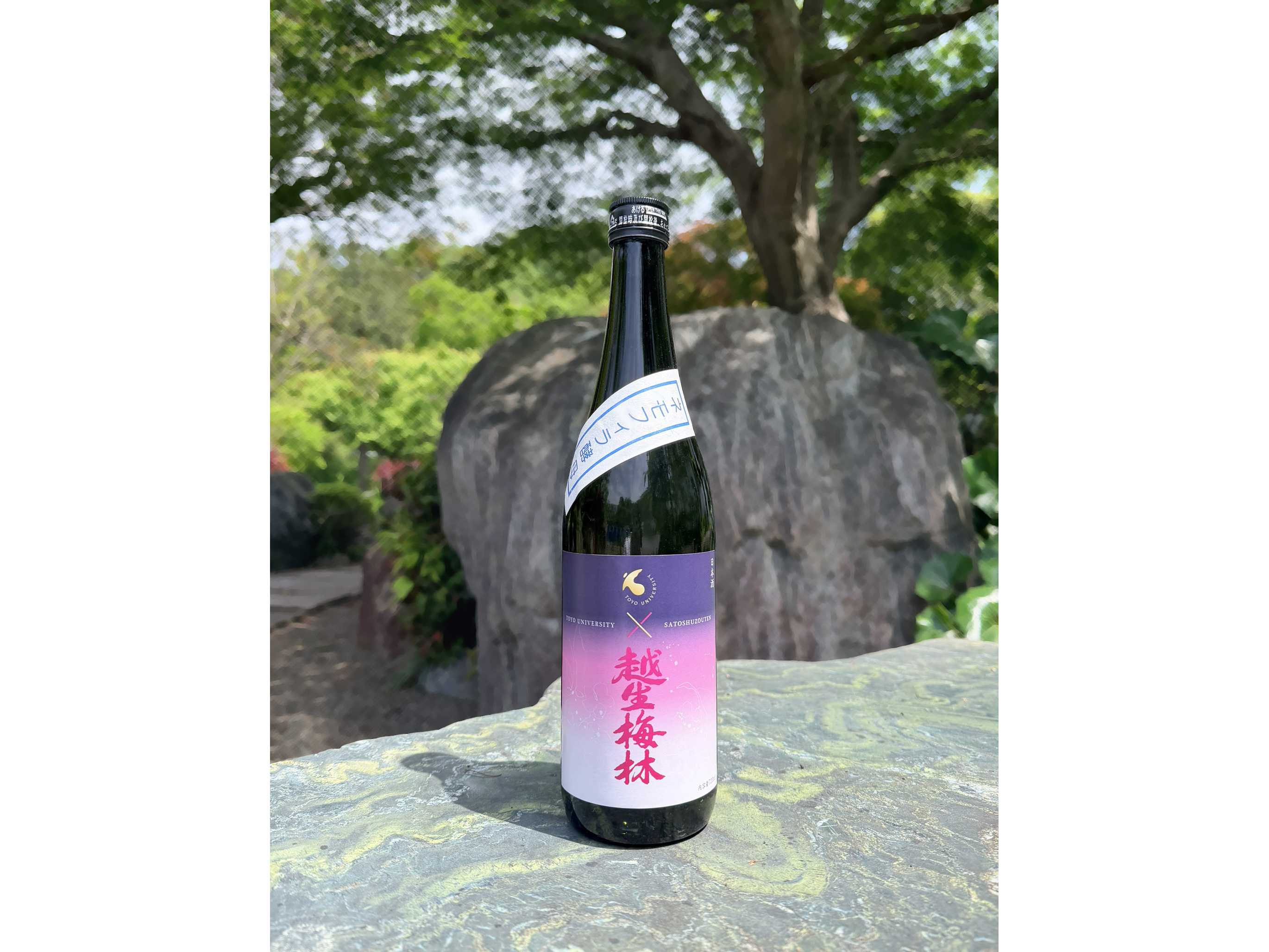 学校法人東洋大学