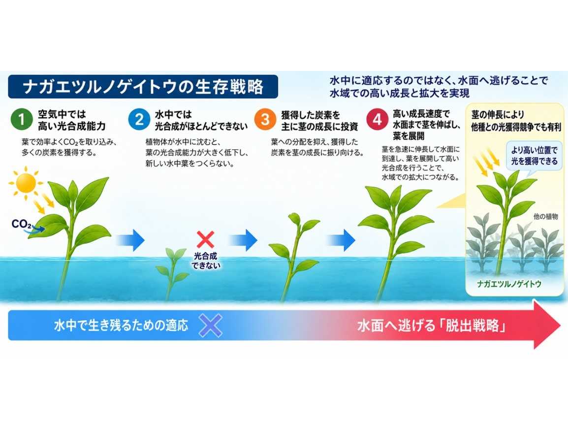 学校法人東洋大学