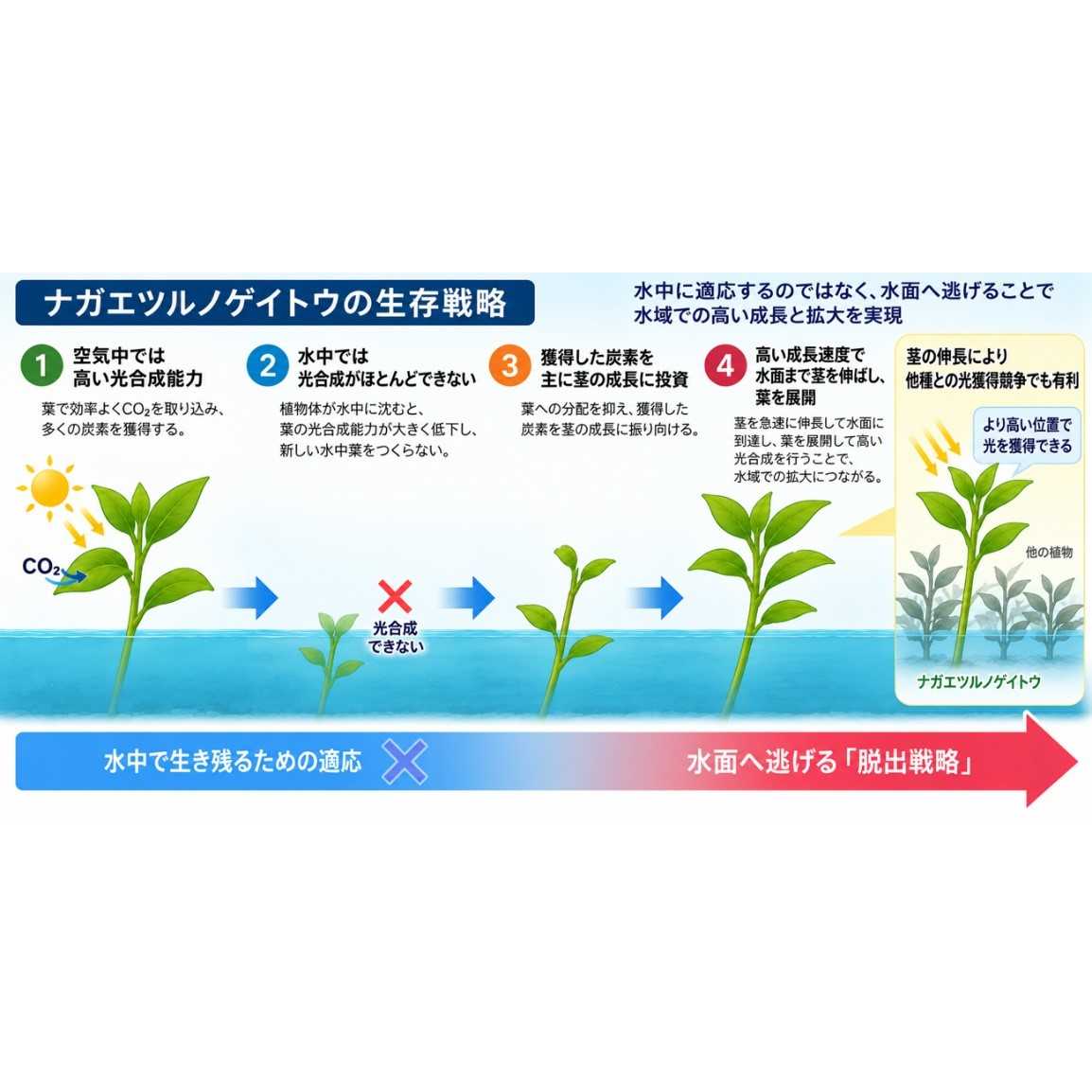 学校法人東洋大学