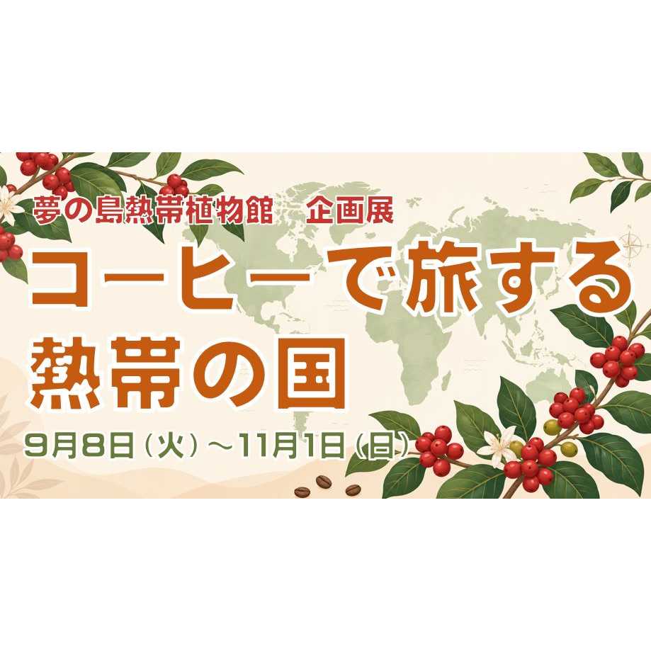リリース