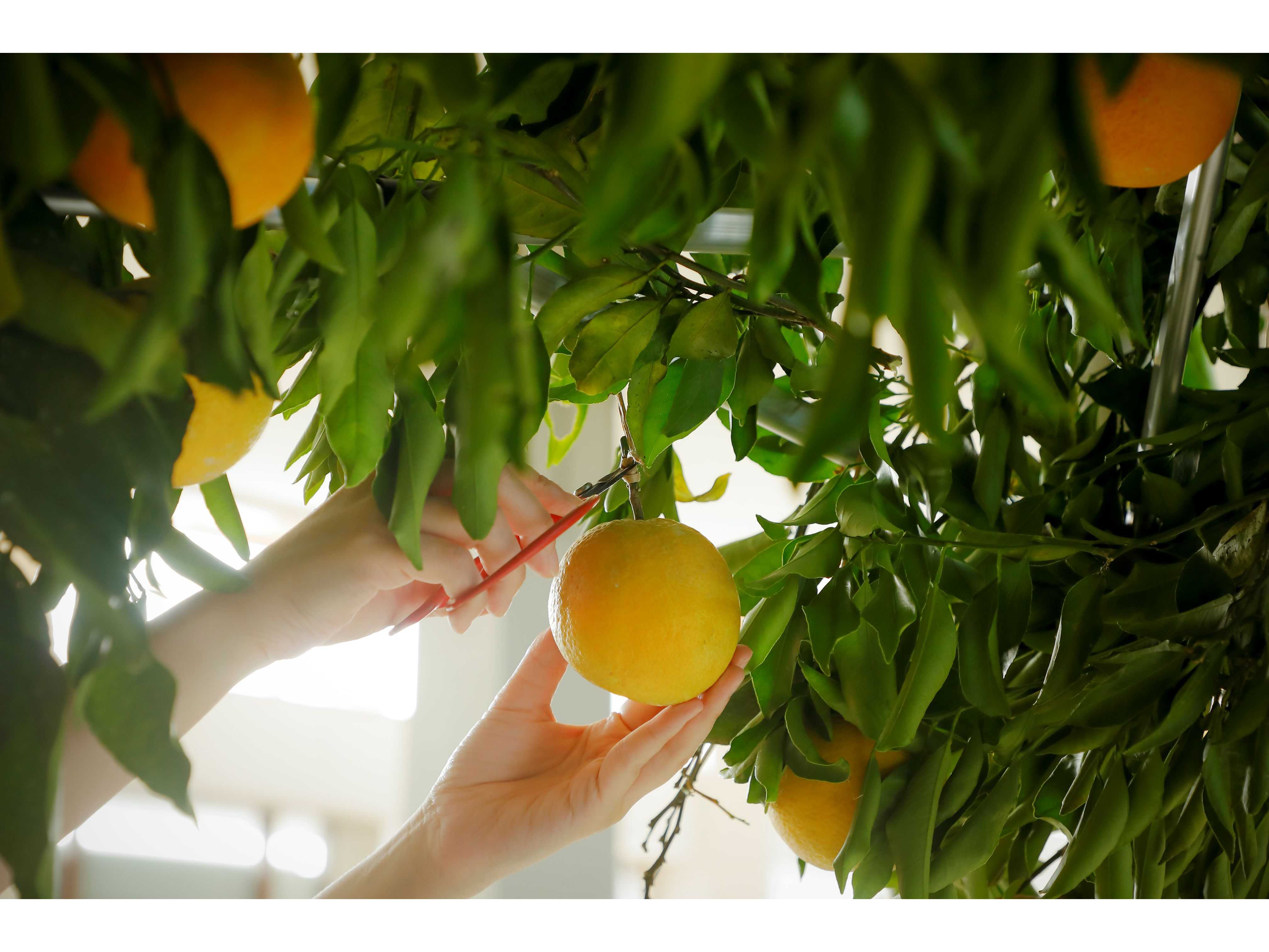 森トラスト株式会社