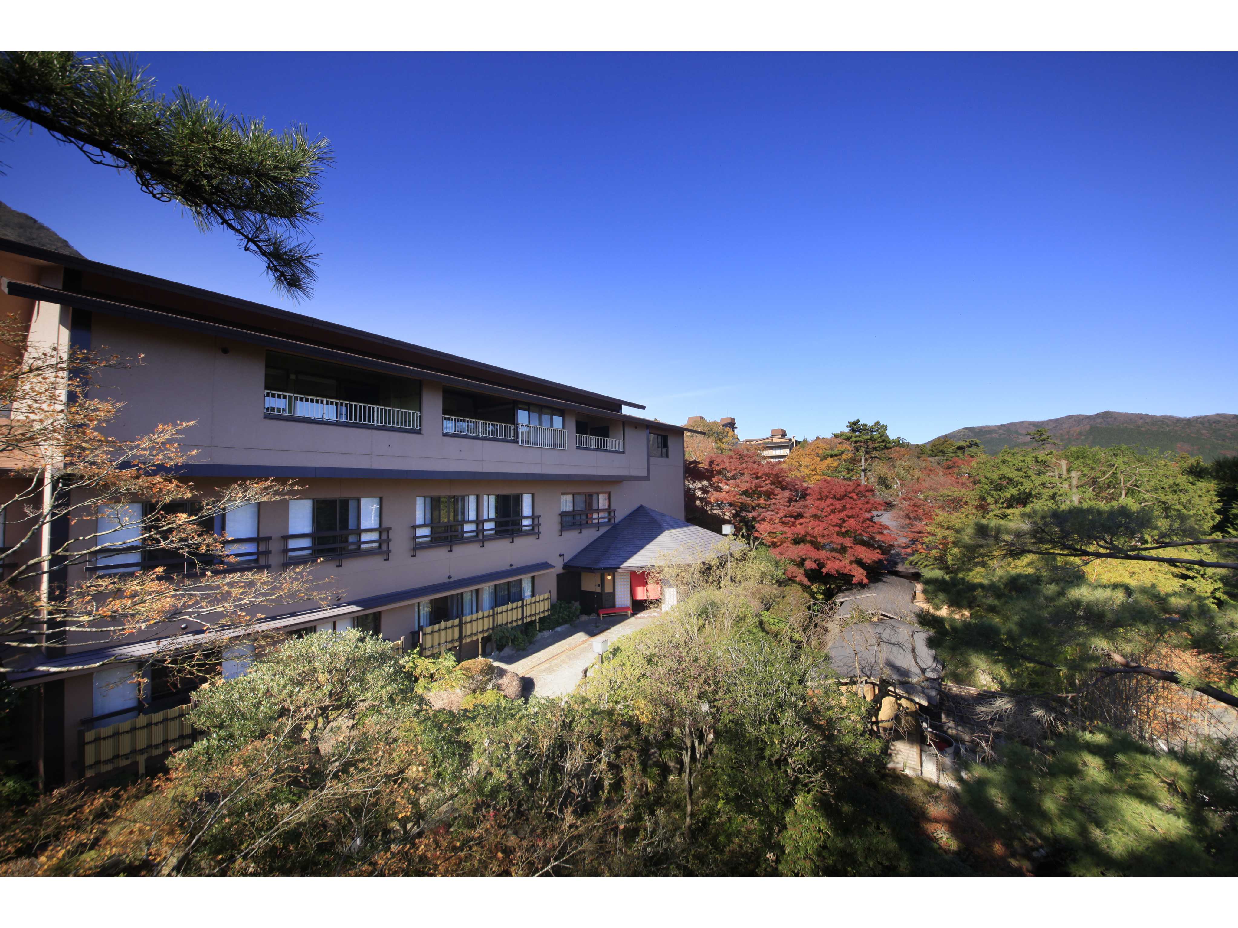 森トラスト株式会社