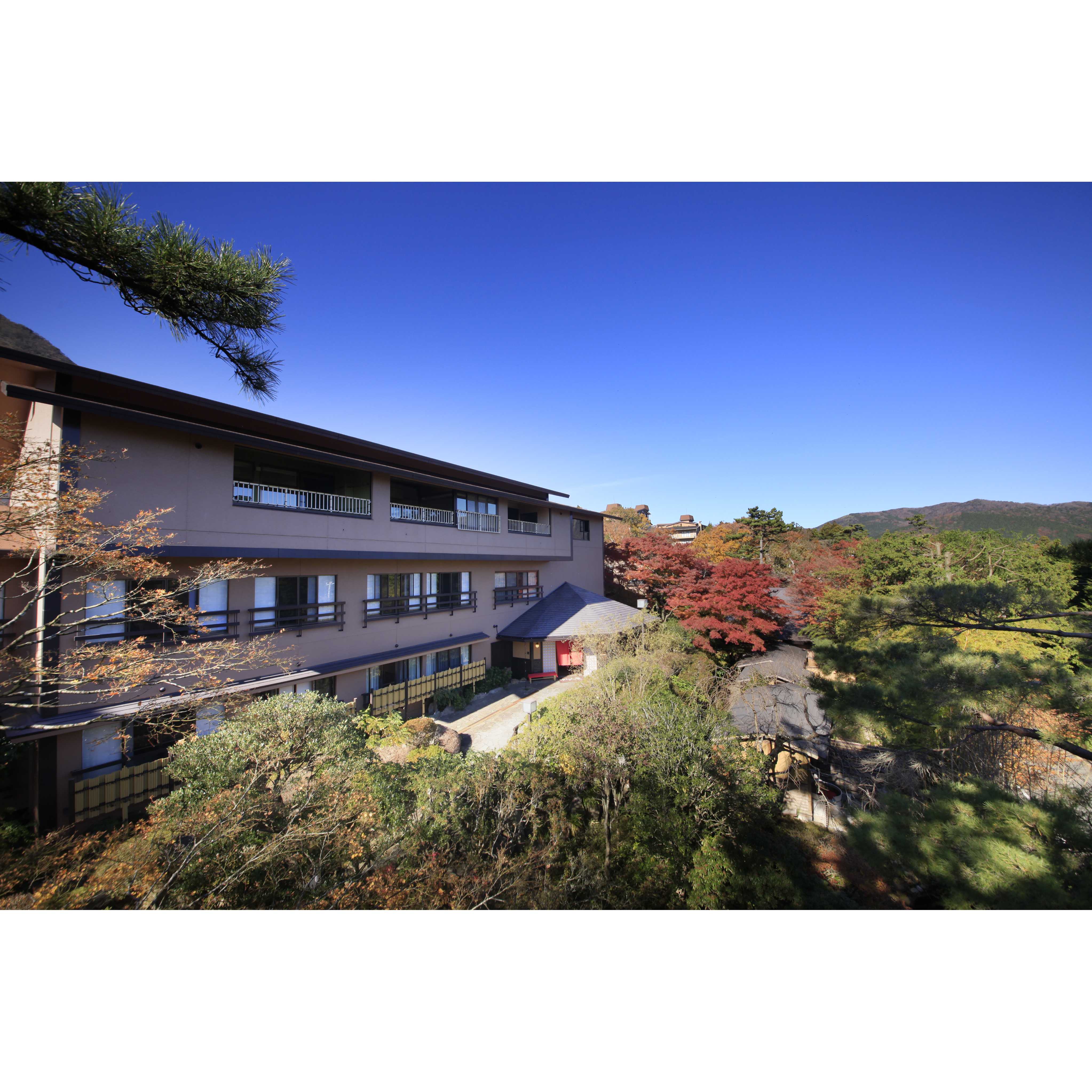 森トラスト株式会社