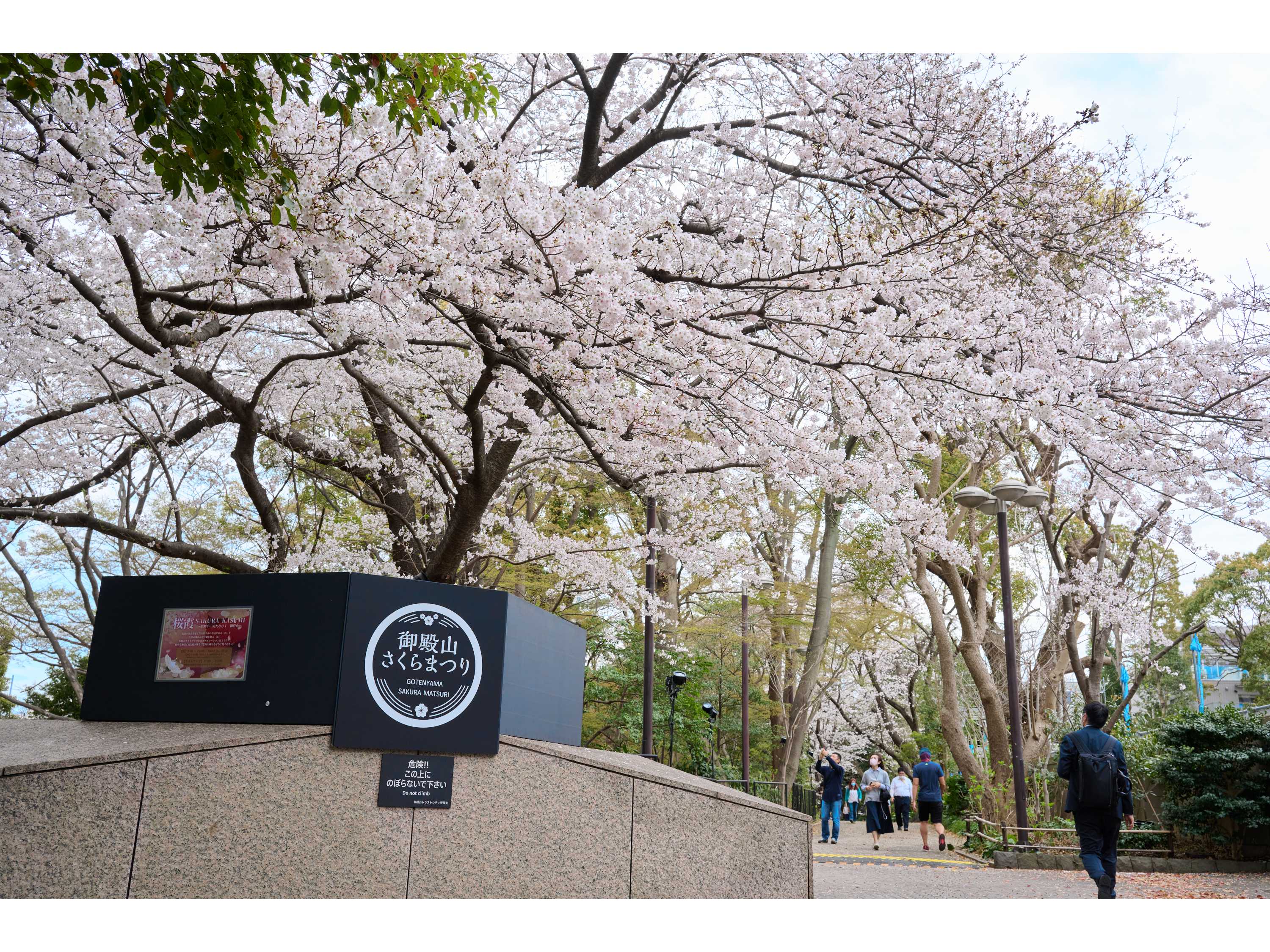 森トラスト株式会社