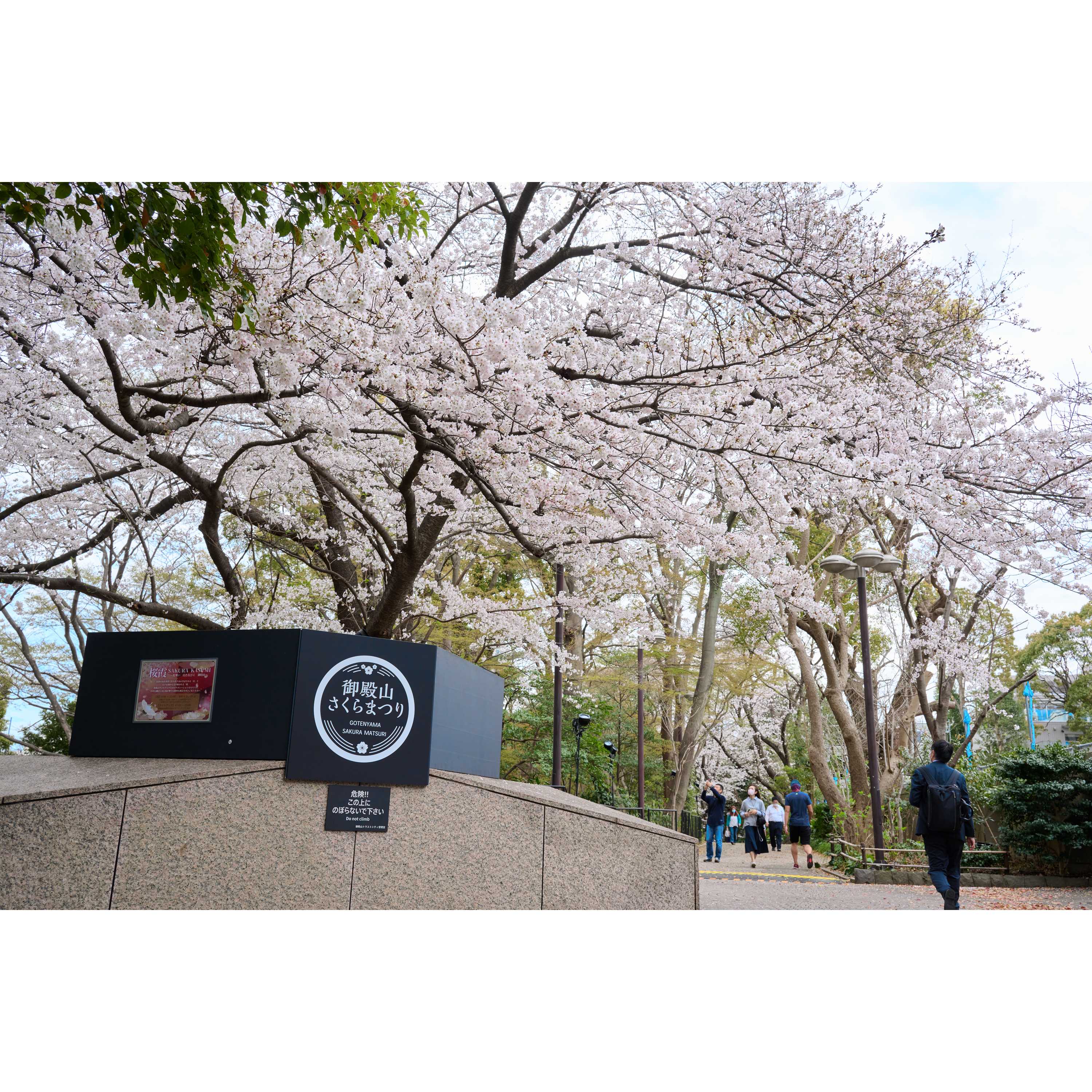 森トラスト株式会社