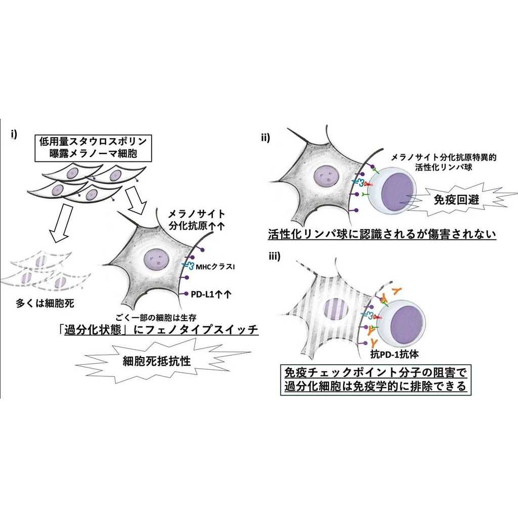 埼玉医科大学