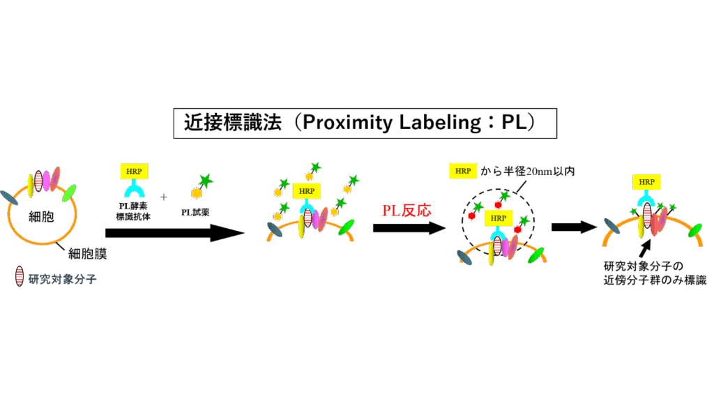 埼玉医科大学