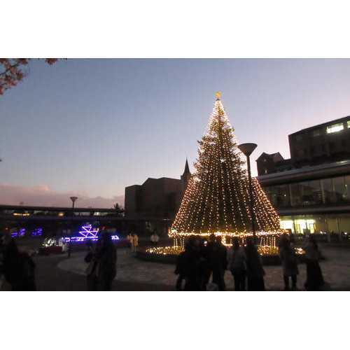 同志社女子大学