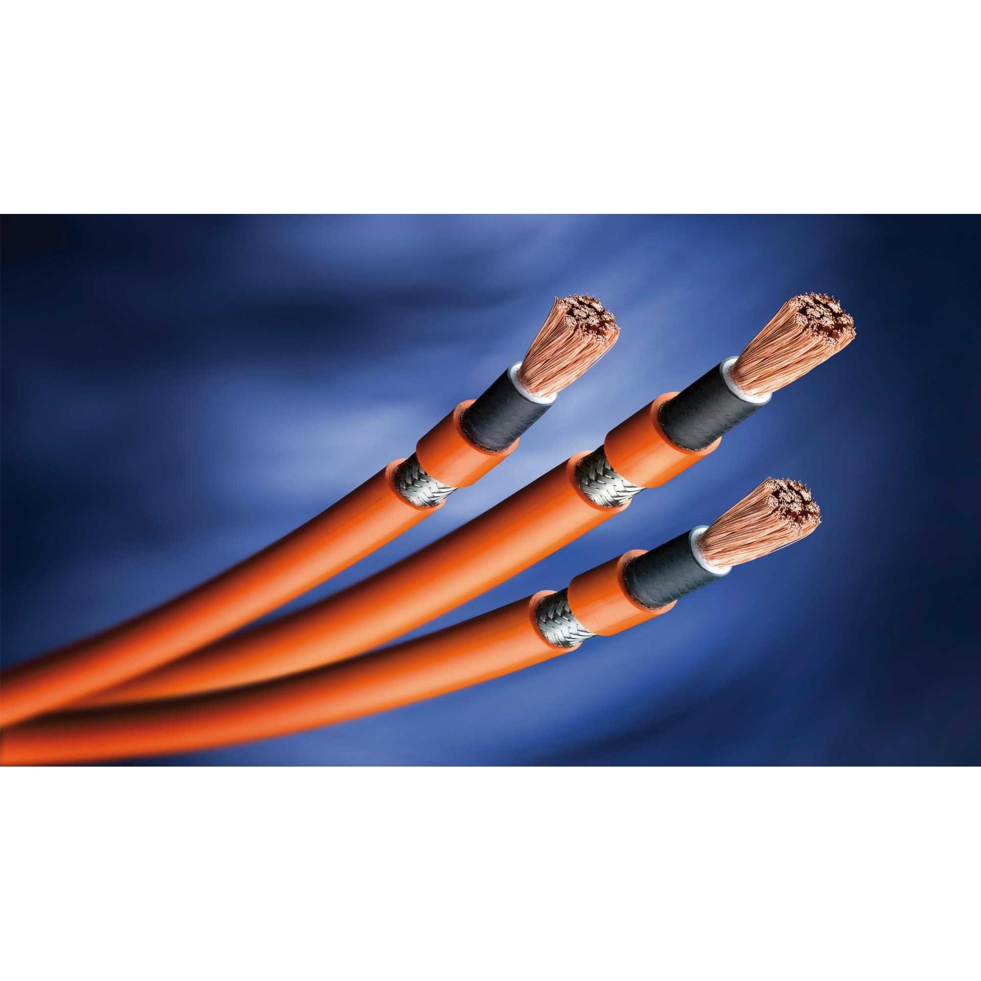 BASFジャパン株式会社