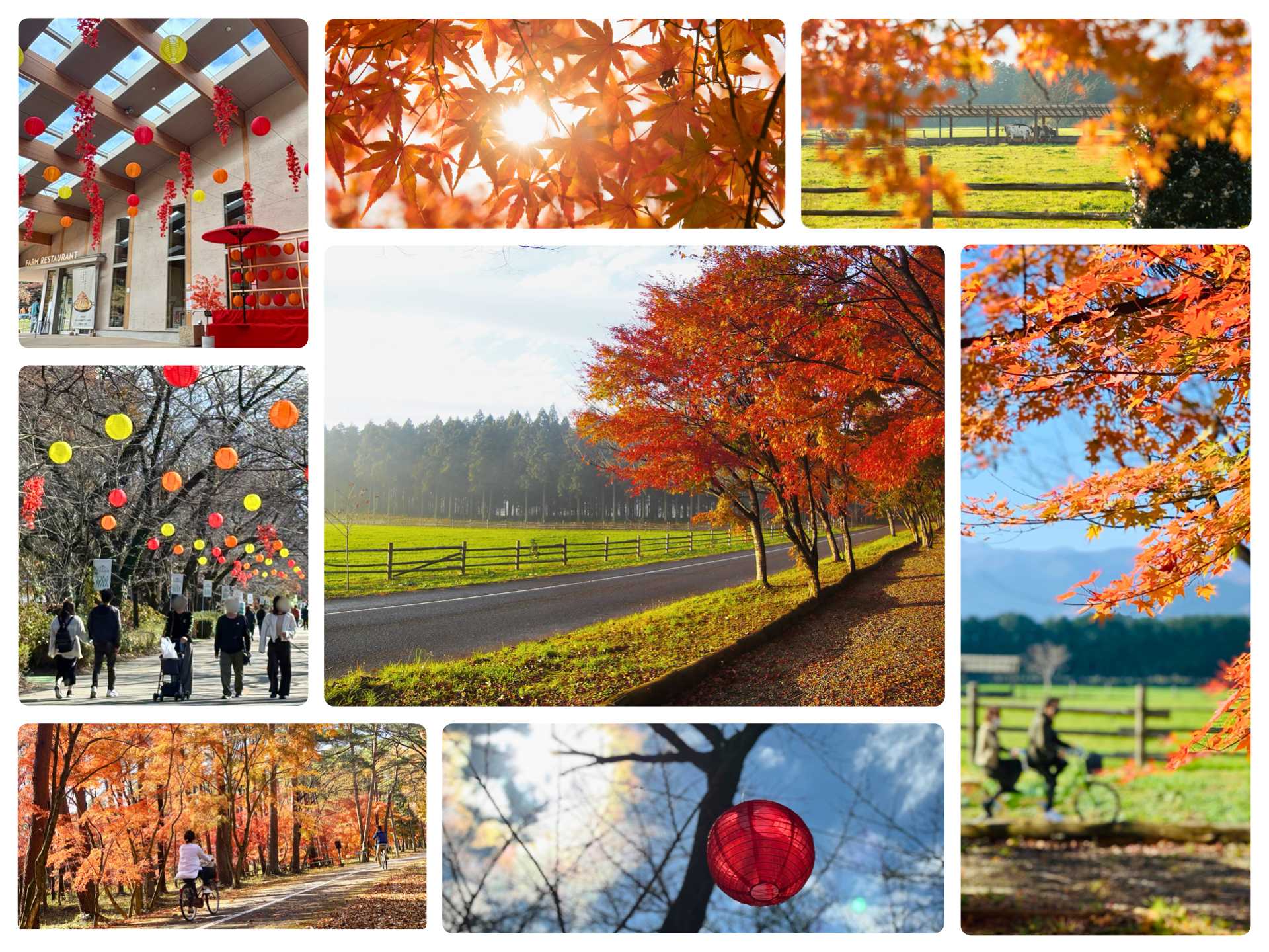 ホウライ株式会社