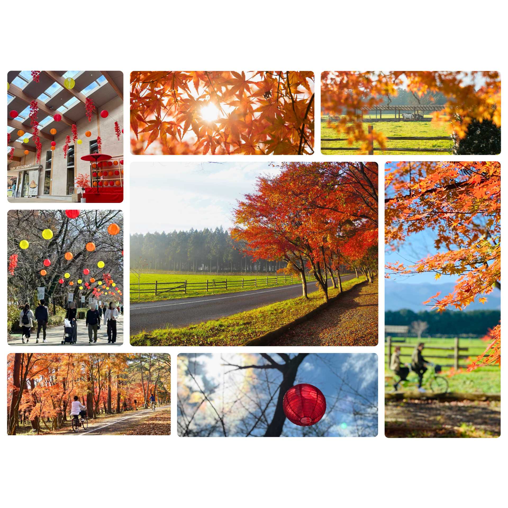 ホウライ株式会社