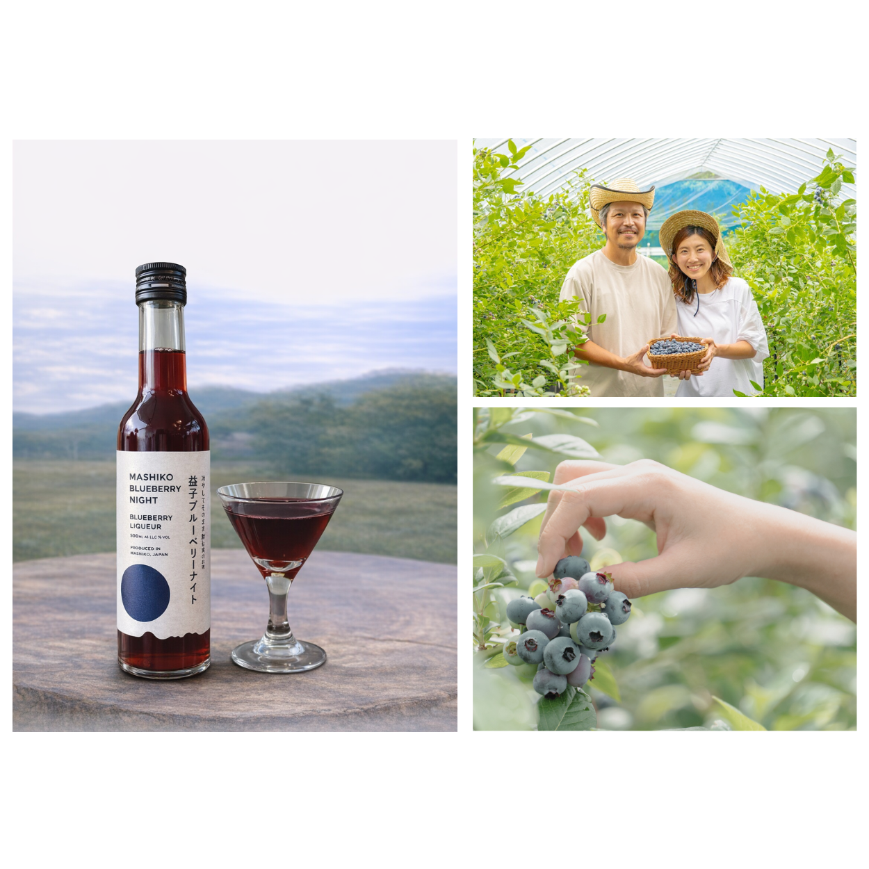 ホウライ株式会社