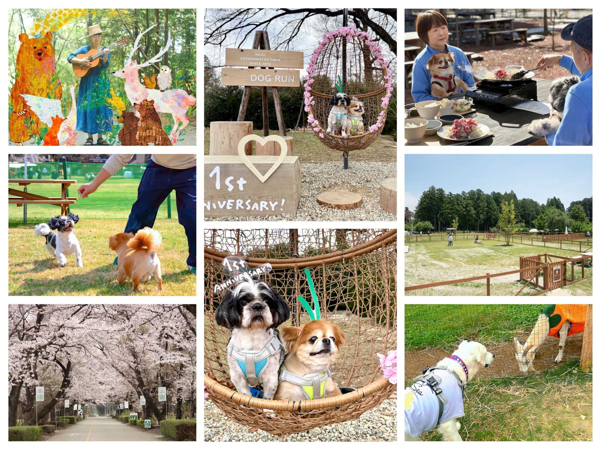 ホウライ株式会社_那須千本松牧場