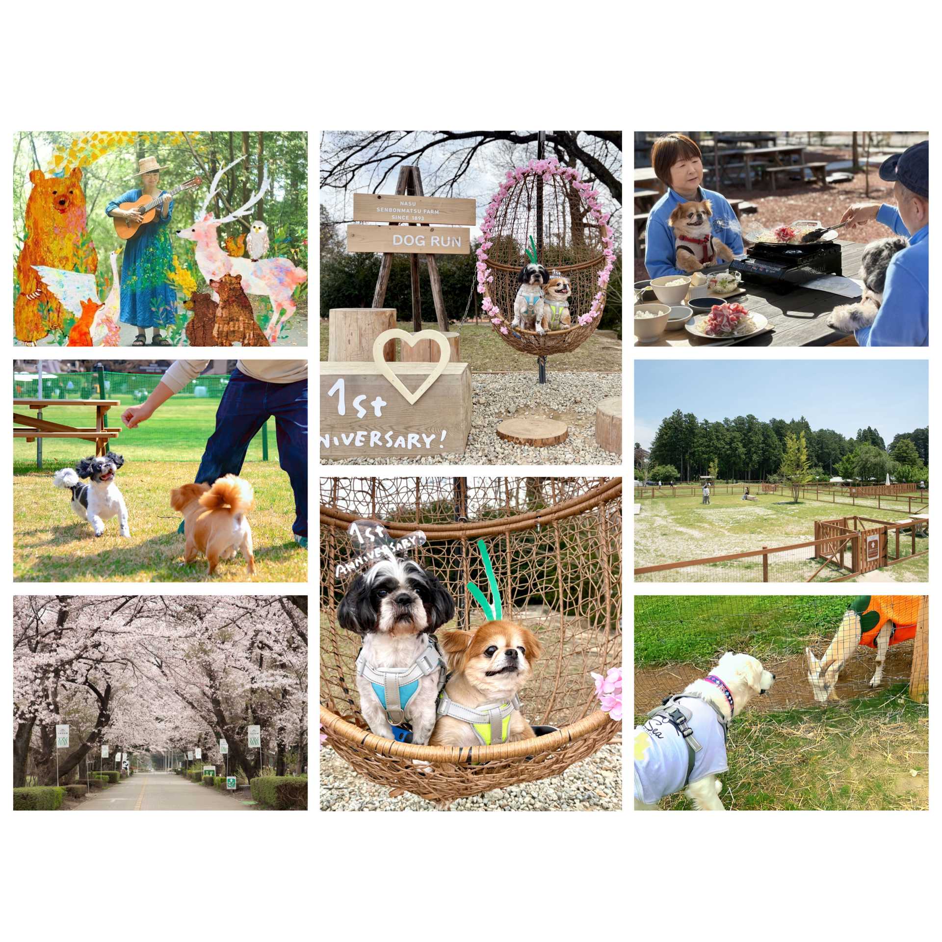 ホウライ株式会社_那須千本松牧場