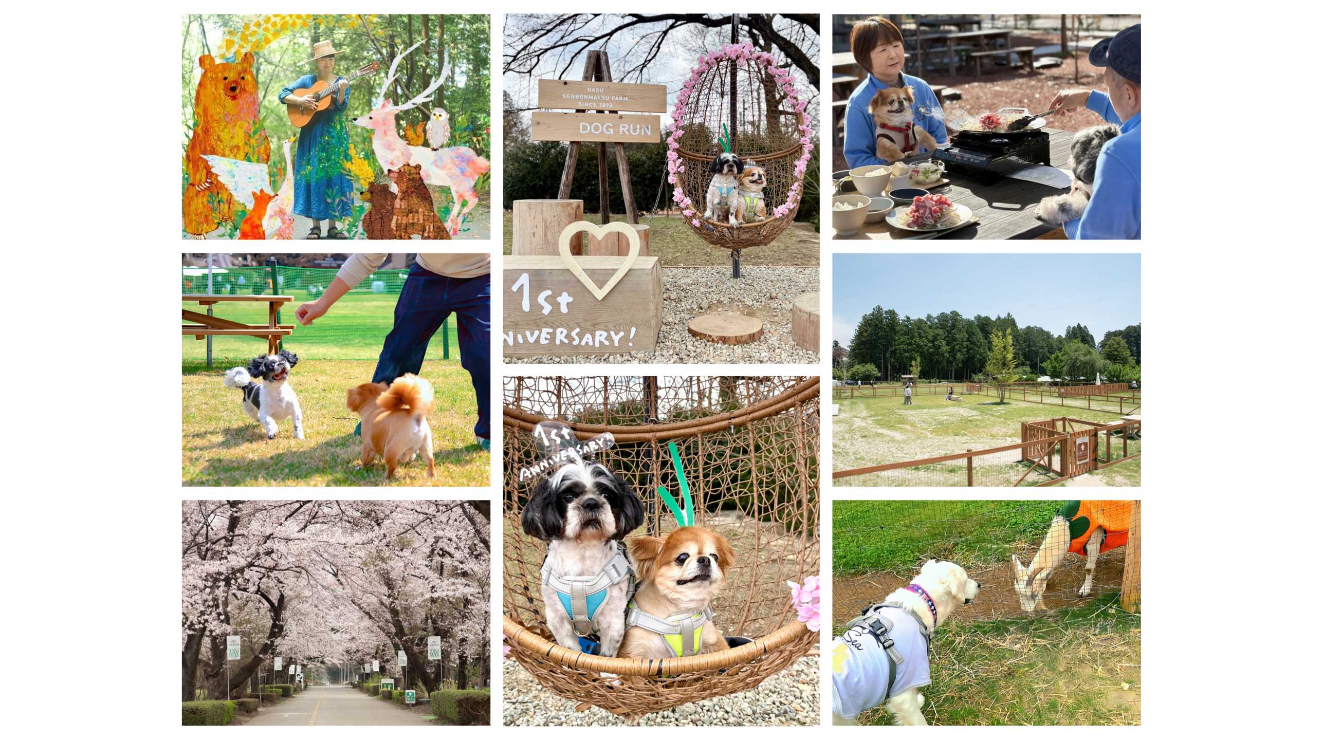 春のおでかけは、愛犬と那須塩原へ。那須千本松牧場、グランドオープン1周年 桜の中の無料撮影会＆ワンちゃんマルシェ開催 | ホウライ株式会社_那須千本松牧場